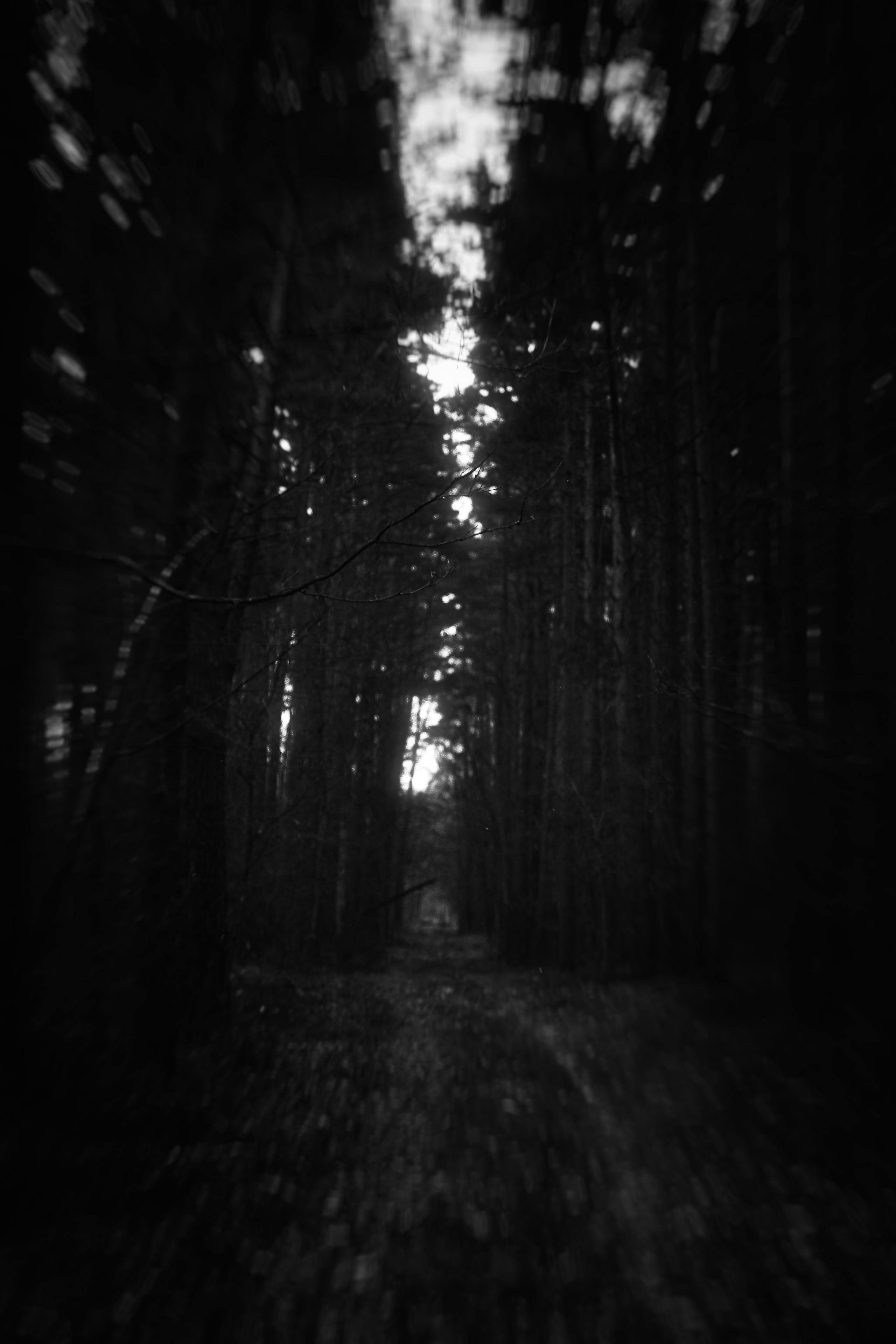 ЧБ  пейзажи (BnW landscape). Фотограф (photographer) Lischinski Vitaliy