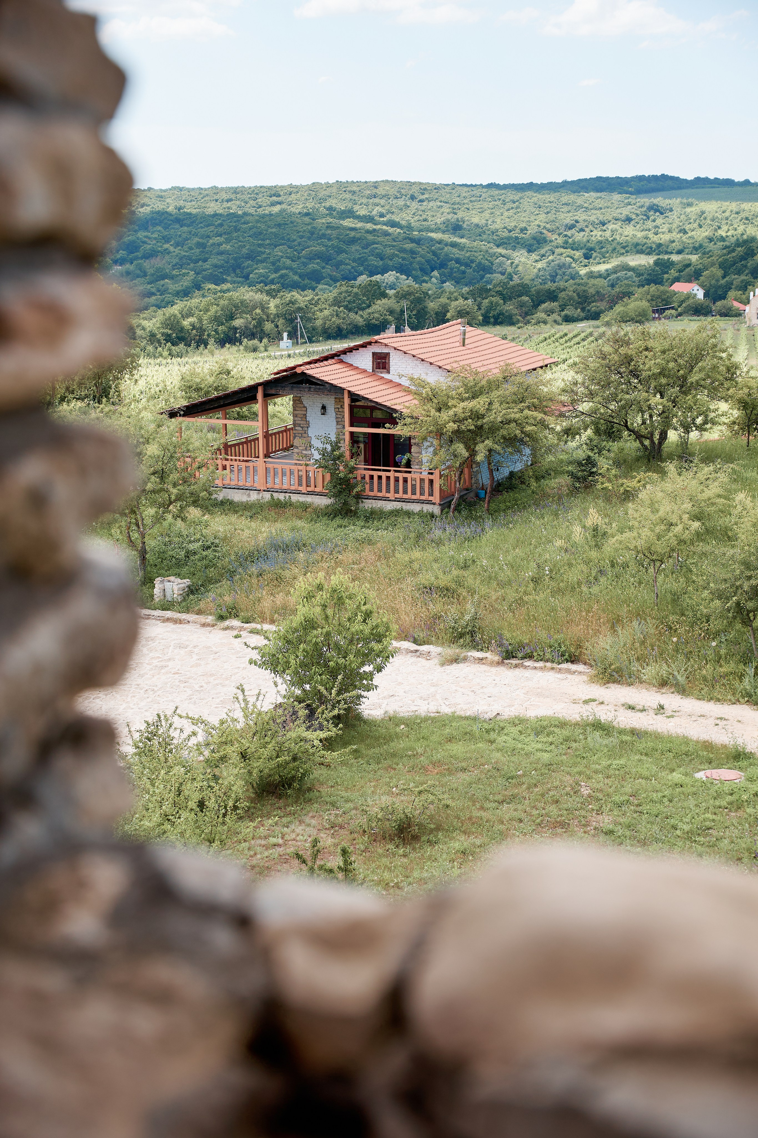 ОДНА ВИНОДЕЛЬНЯ. Репортажный и мужской фотограф в Краснодаре. Фотограф в Краснодаре