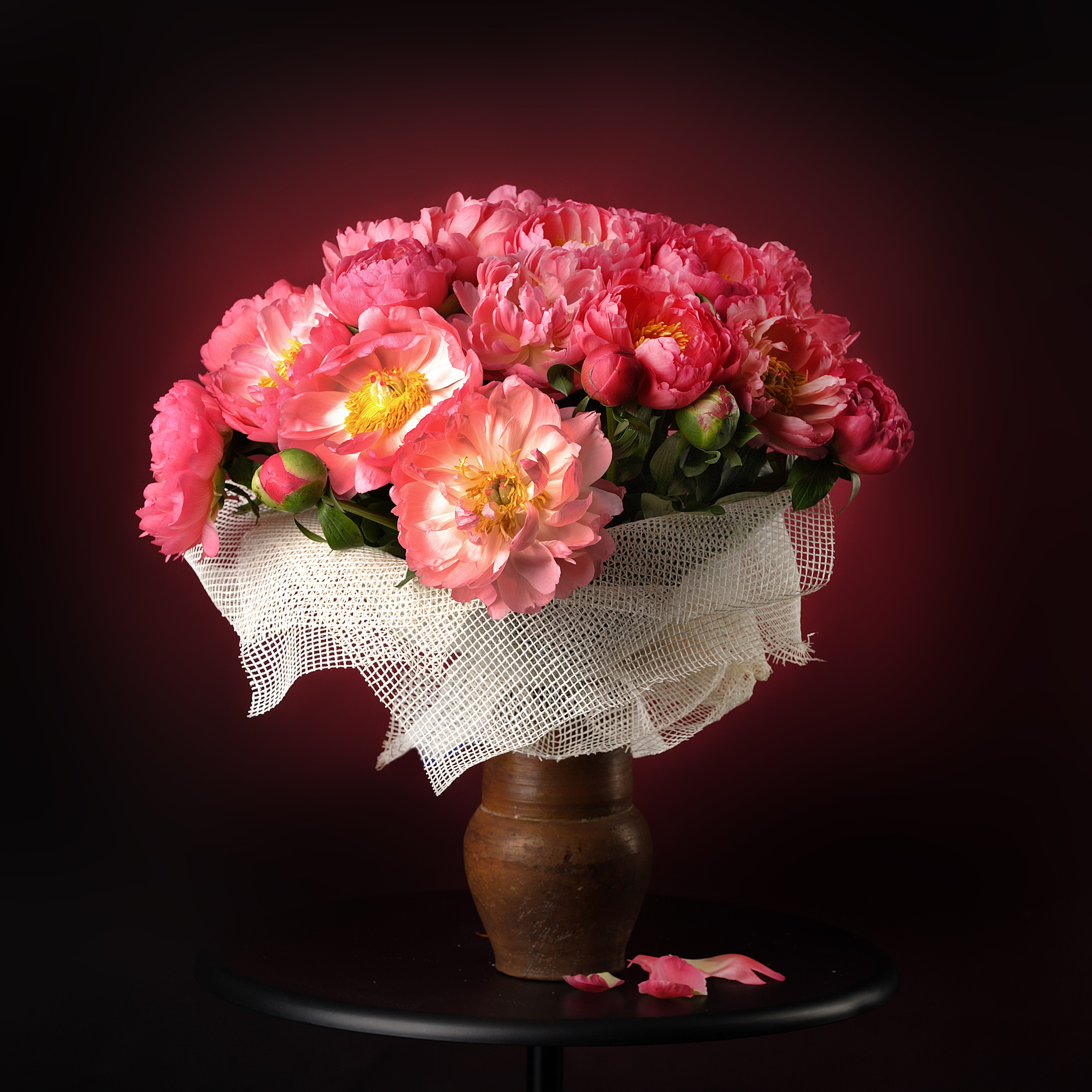 Цветы. Фотограф Мария Кольцова