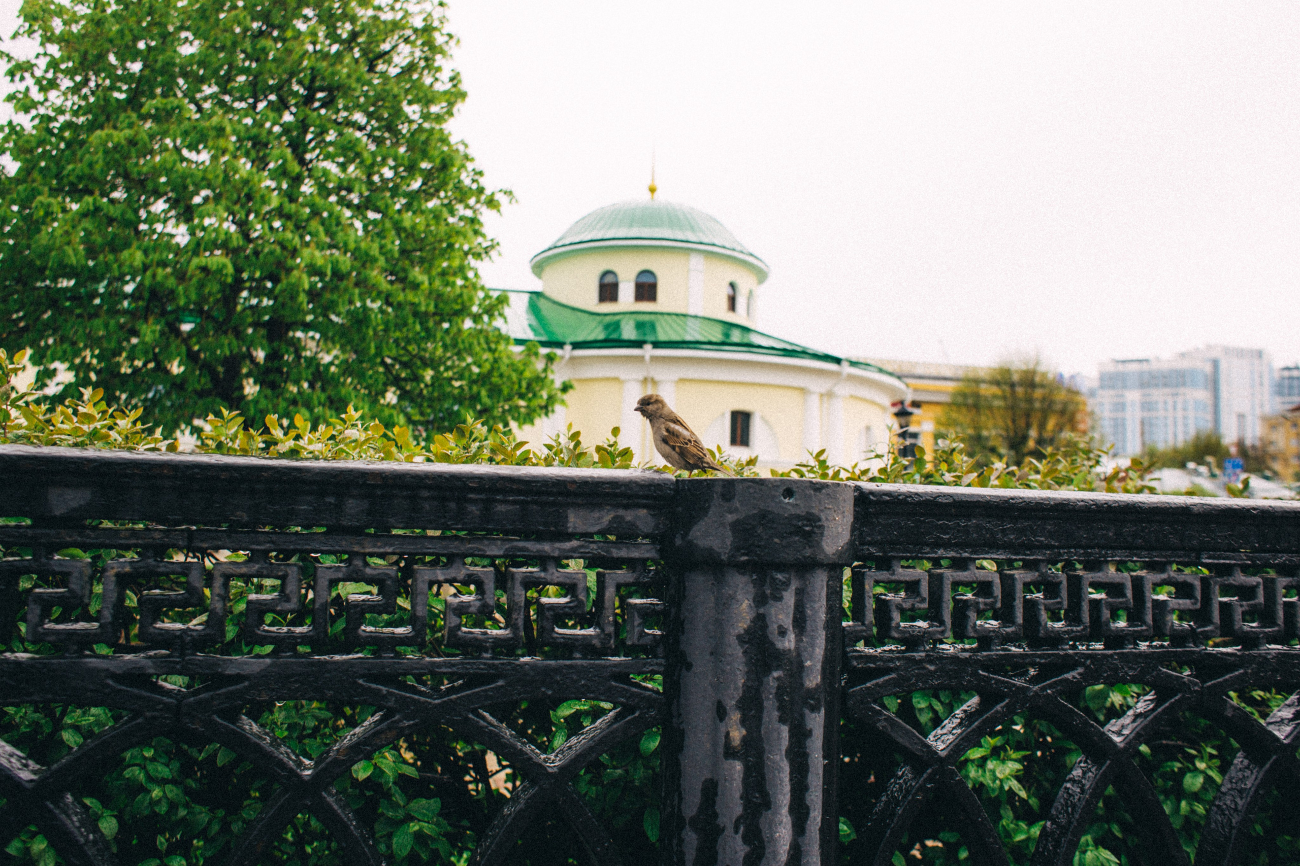 Москва- Рязань 2021. Фотограф в Нижнем Новгороде
