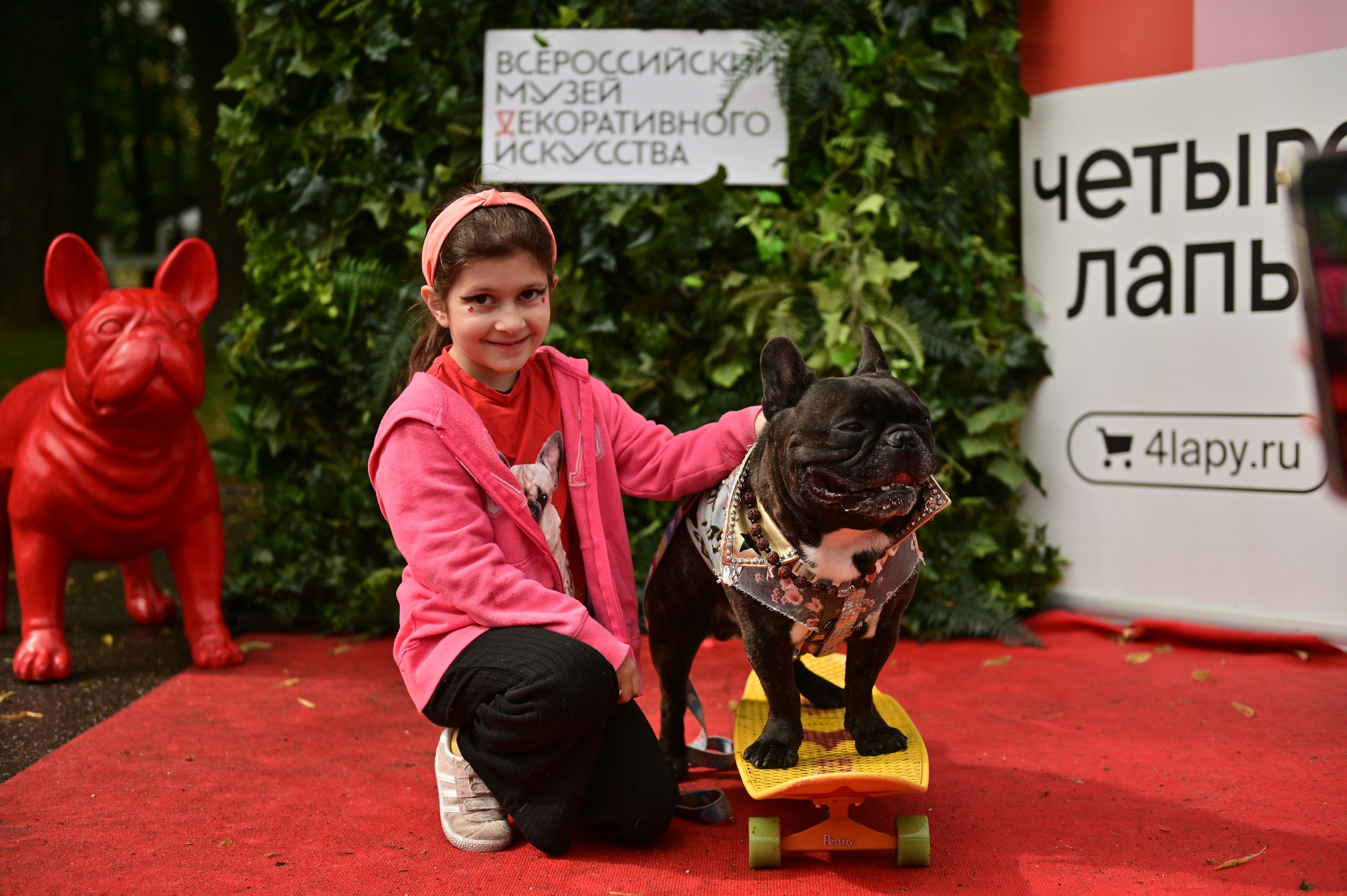 Парад французский бульдогов. Анна Пушина, фотограф, Москва, Королев, Пушкино
