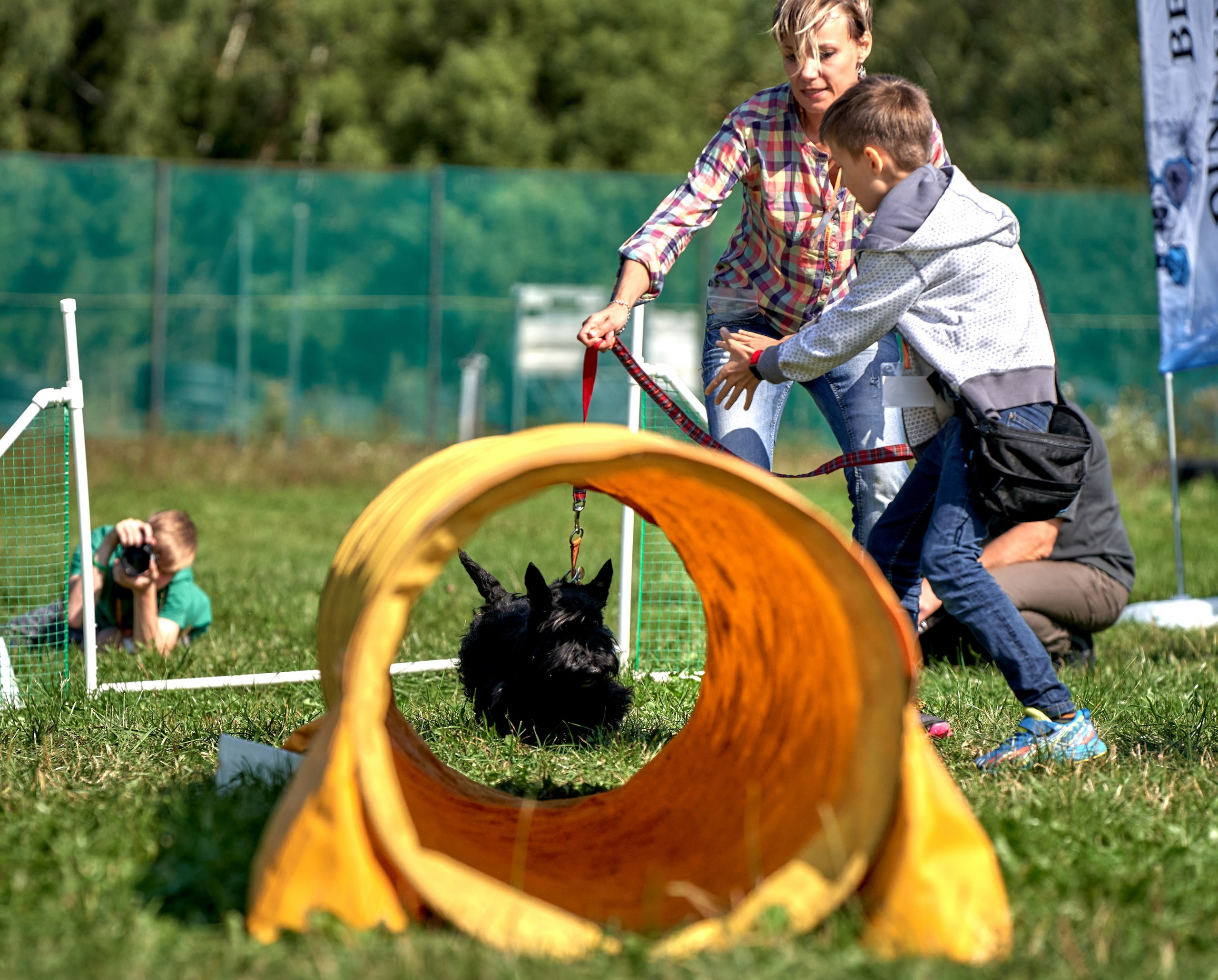 Мероприятия с собаками — галерея NATRIEL