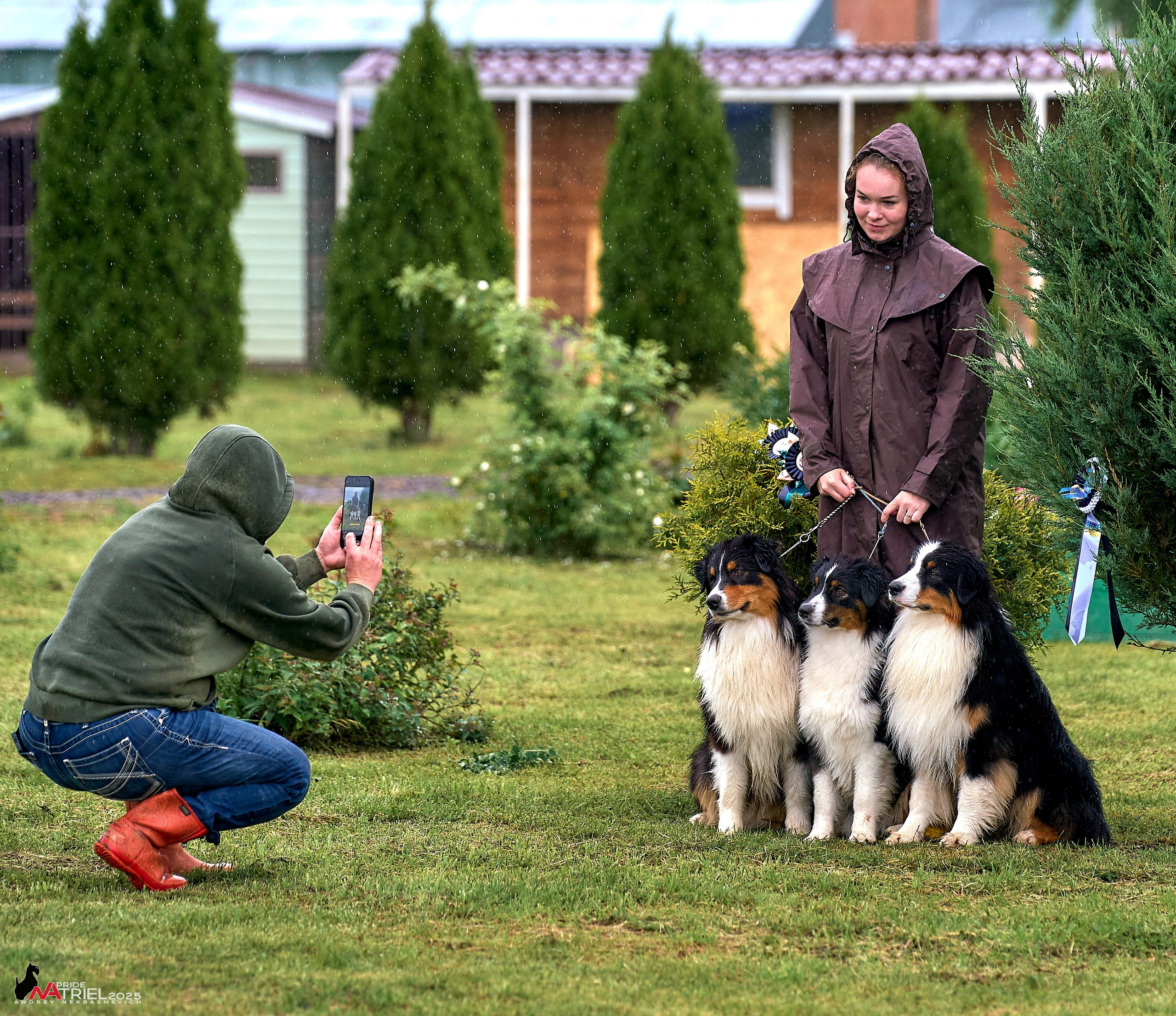 Репортаж с выставки собак