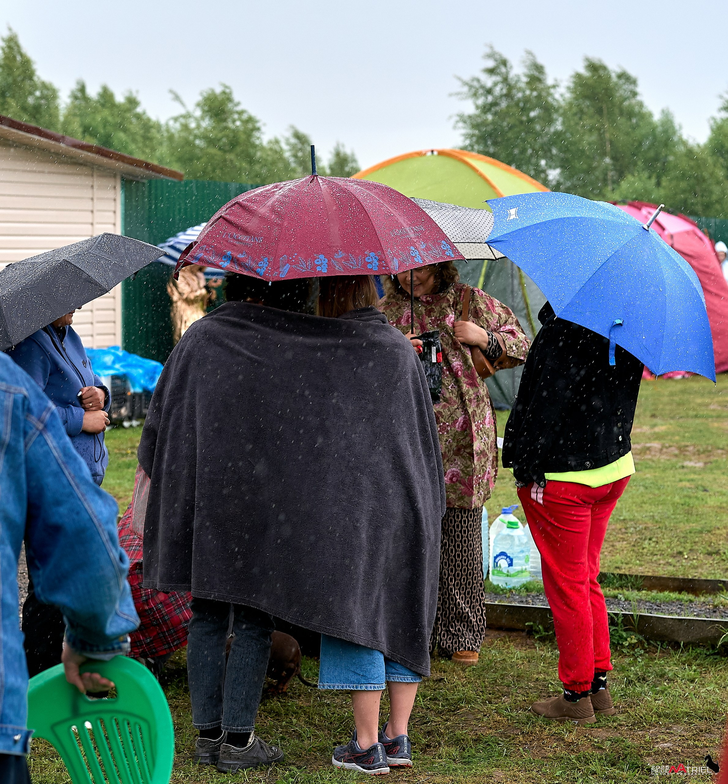 Репортаж с выставки собак