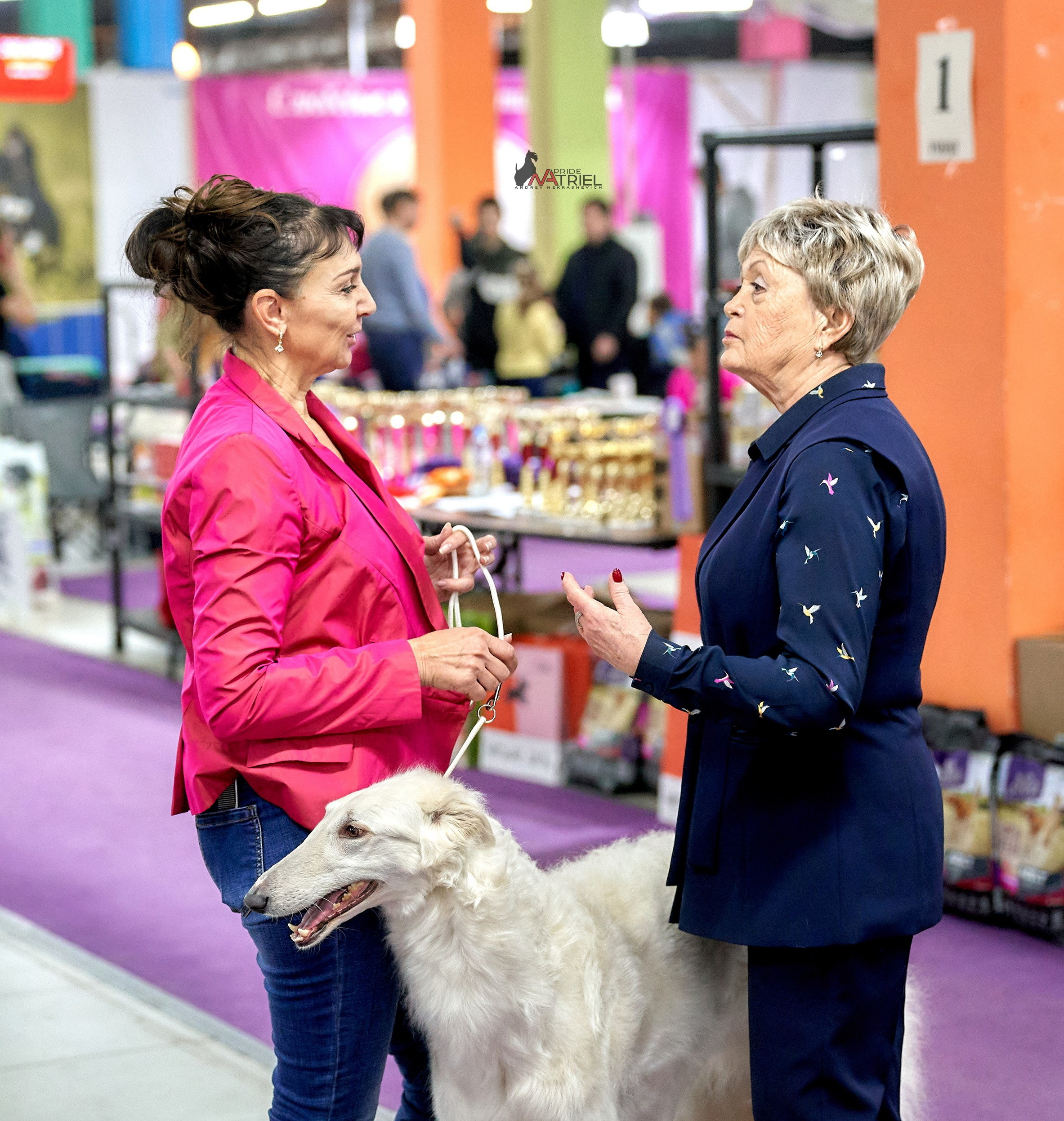 Работа в рингах — галерея NATRIEL