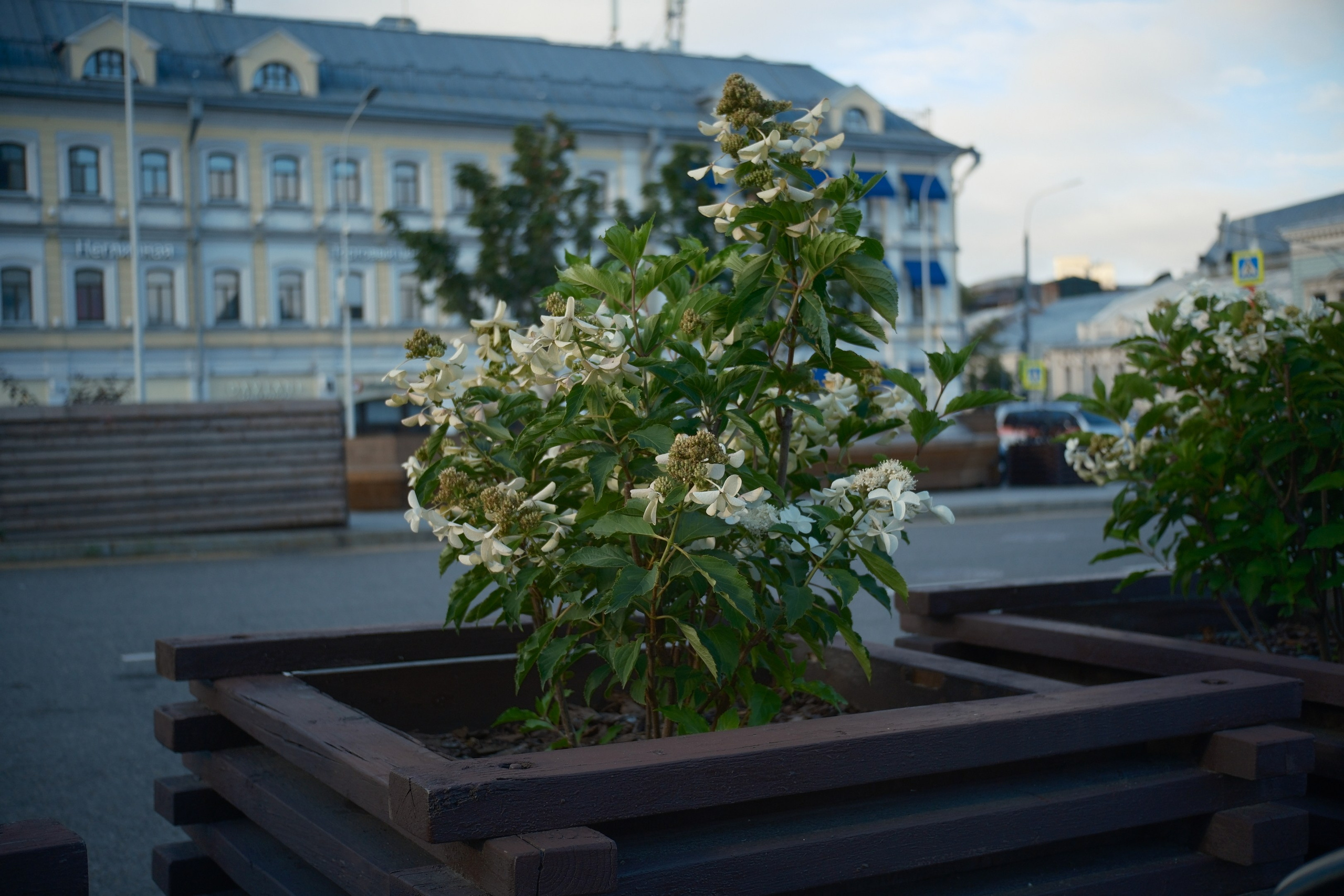 Август 2025. Улица, люди, жизнь…