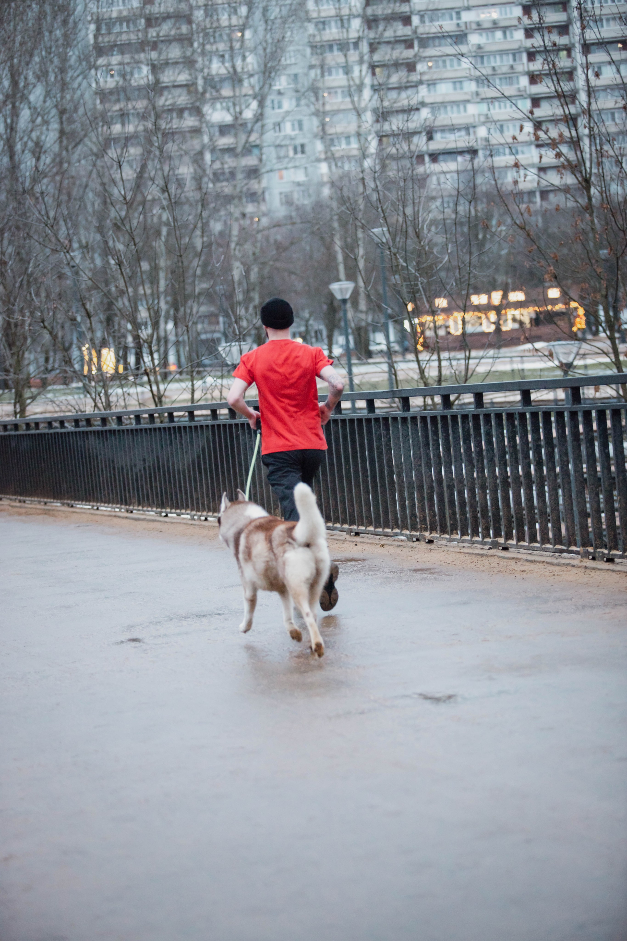 5 верст/декабрь. Александра Мельниченко/ Бегающий фотограф