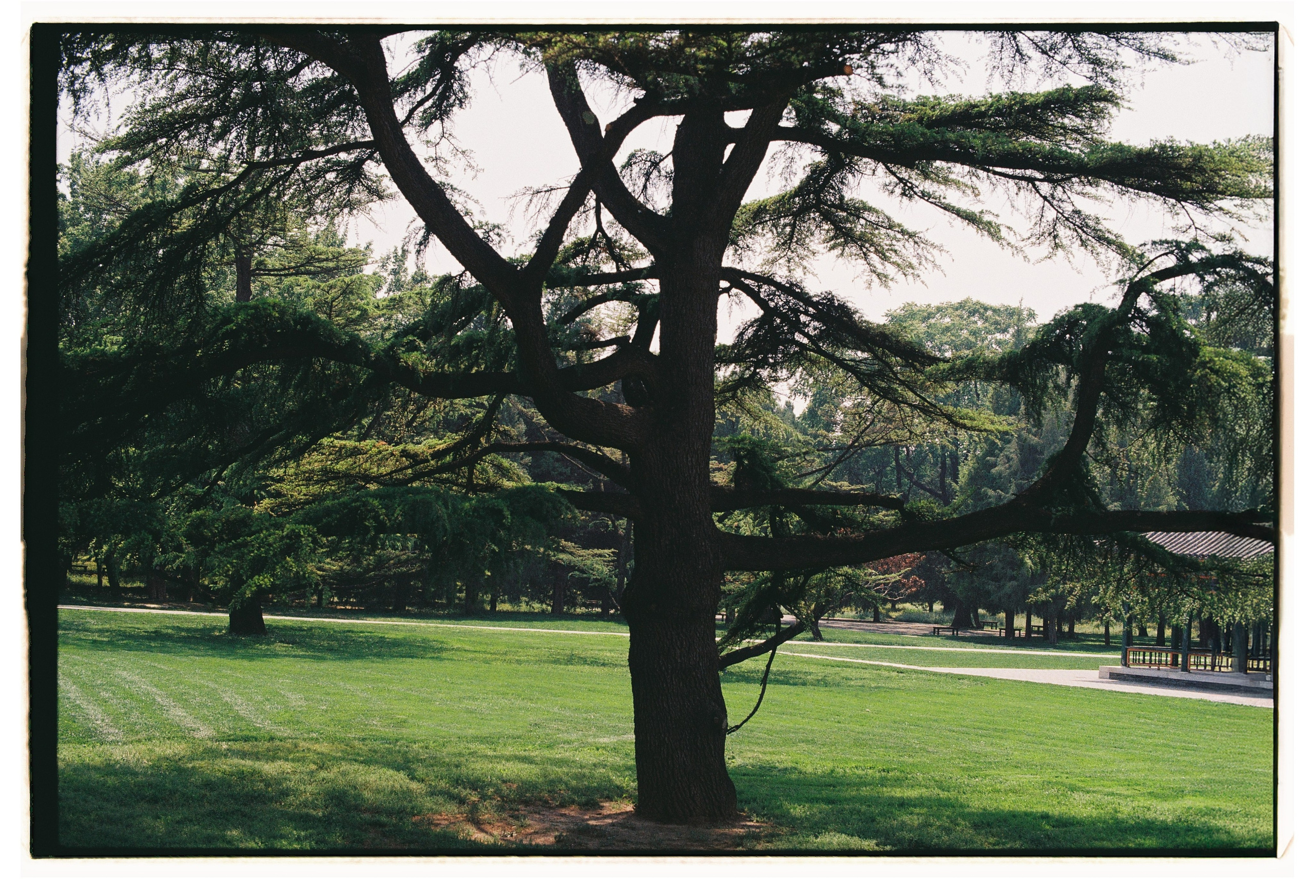 Asia. Olya Filina | Moscow Photographer