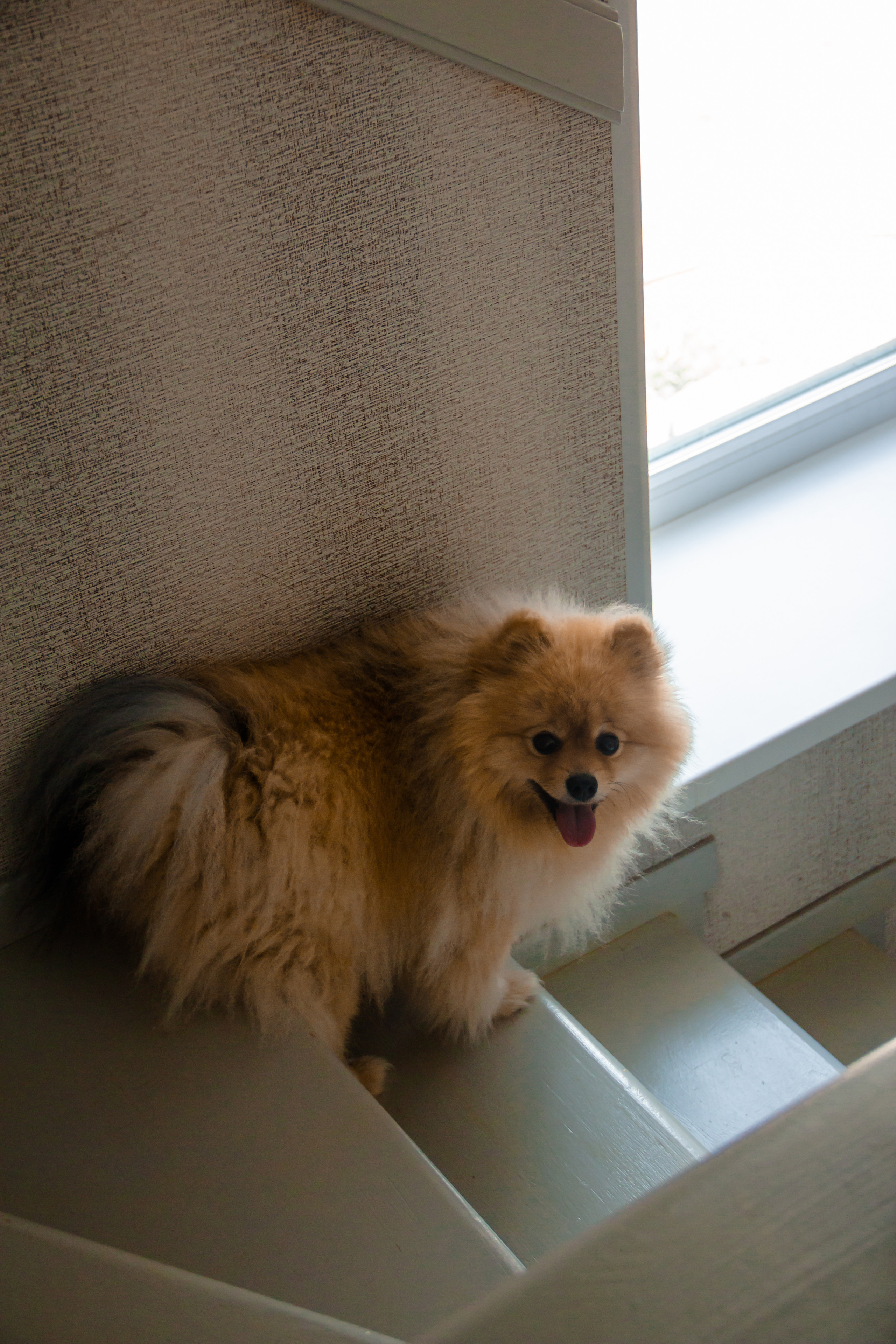 Алена/Александр