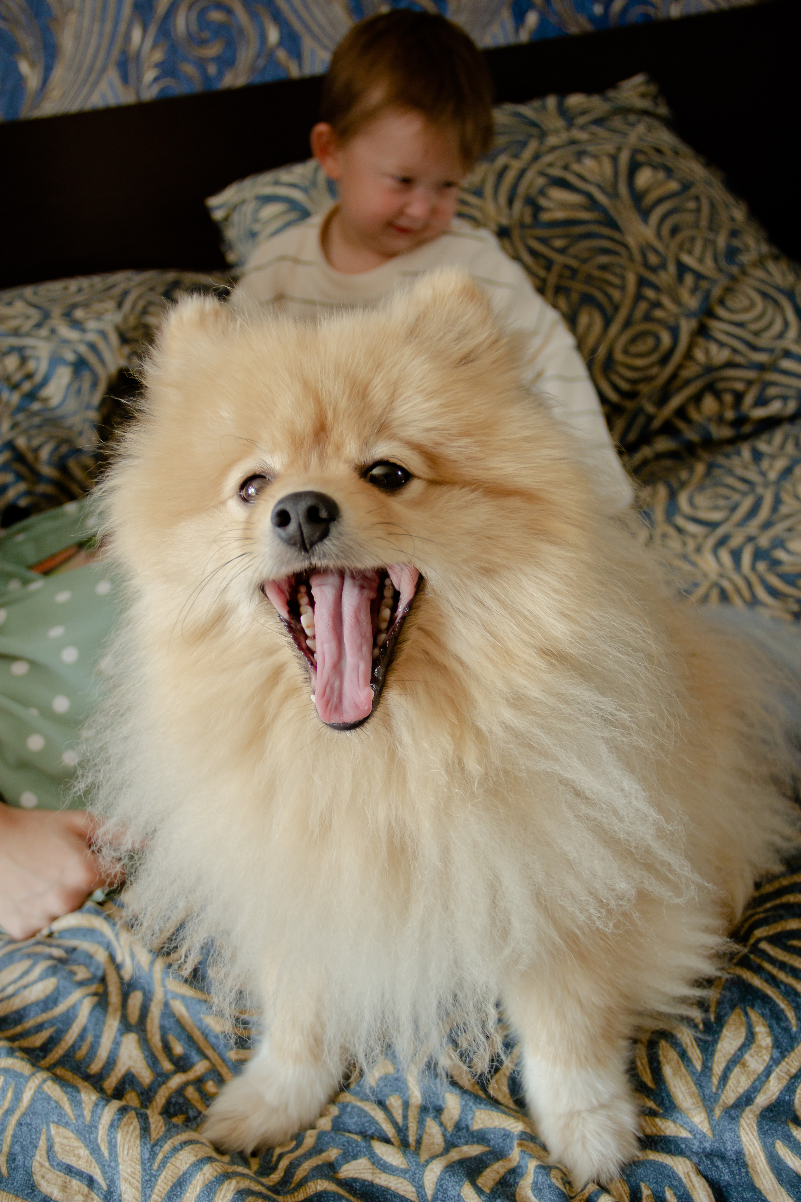 Алена/Александр