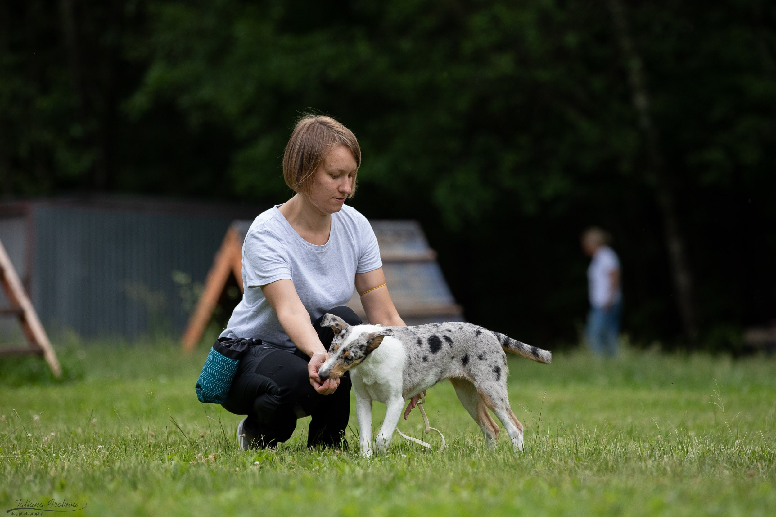 Репортаж с выводки молодняка колли/шелти в Ясенево. Фотограф-анималист в Москве и Московской области Татьяна Фролова