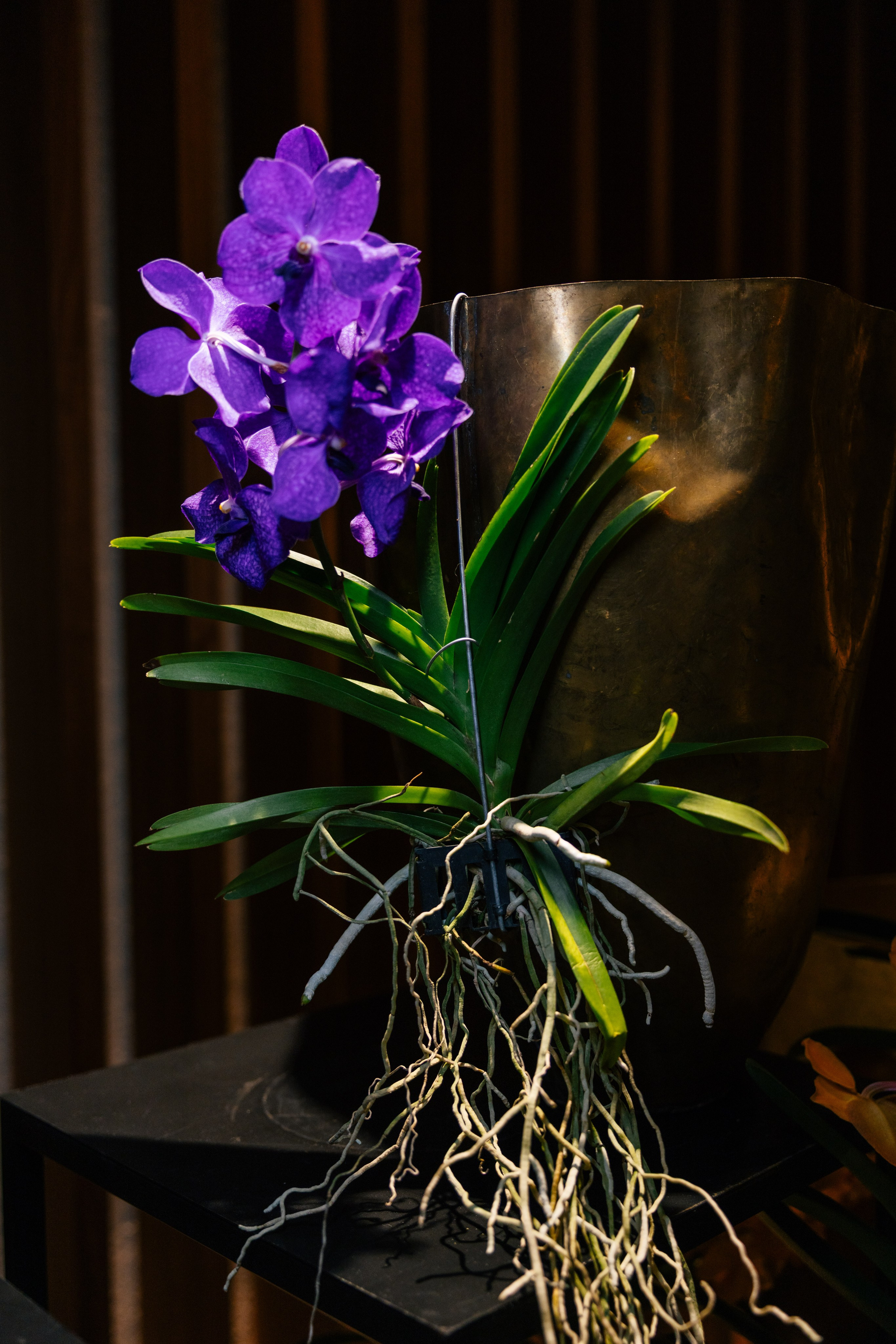 Private party Araik Galstyan & MELIÁ Barcelona Hotel. Europe Wedding Photo  — destination wedding photography across Europe and the Middle East