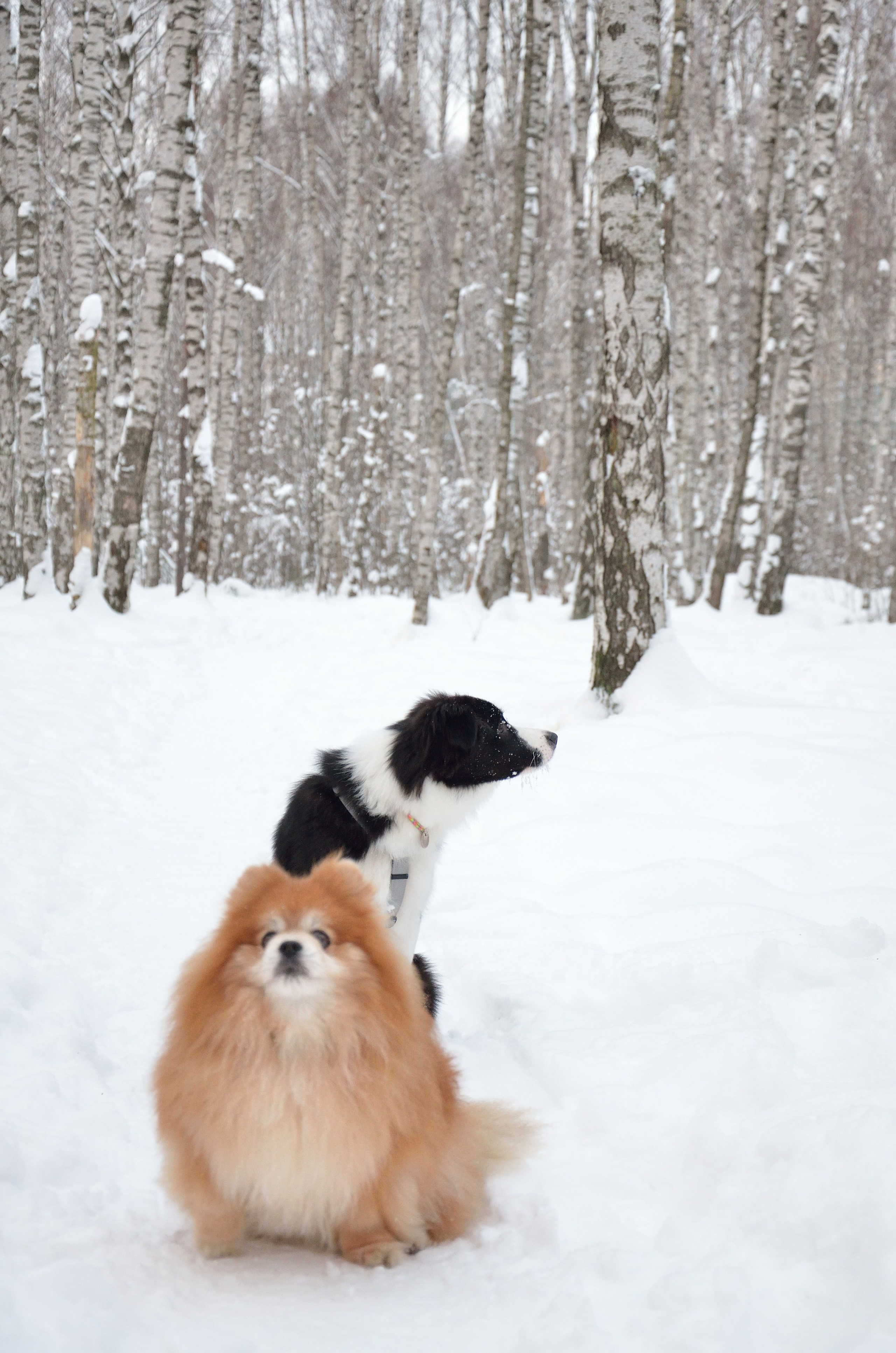 Муня. Добро пожаловать на мой сайт, меня зовут Наталия, я фотограф