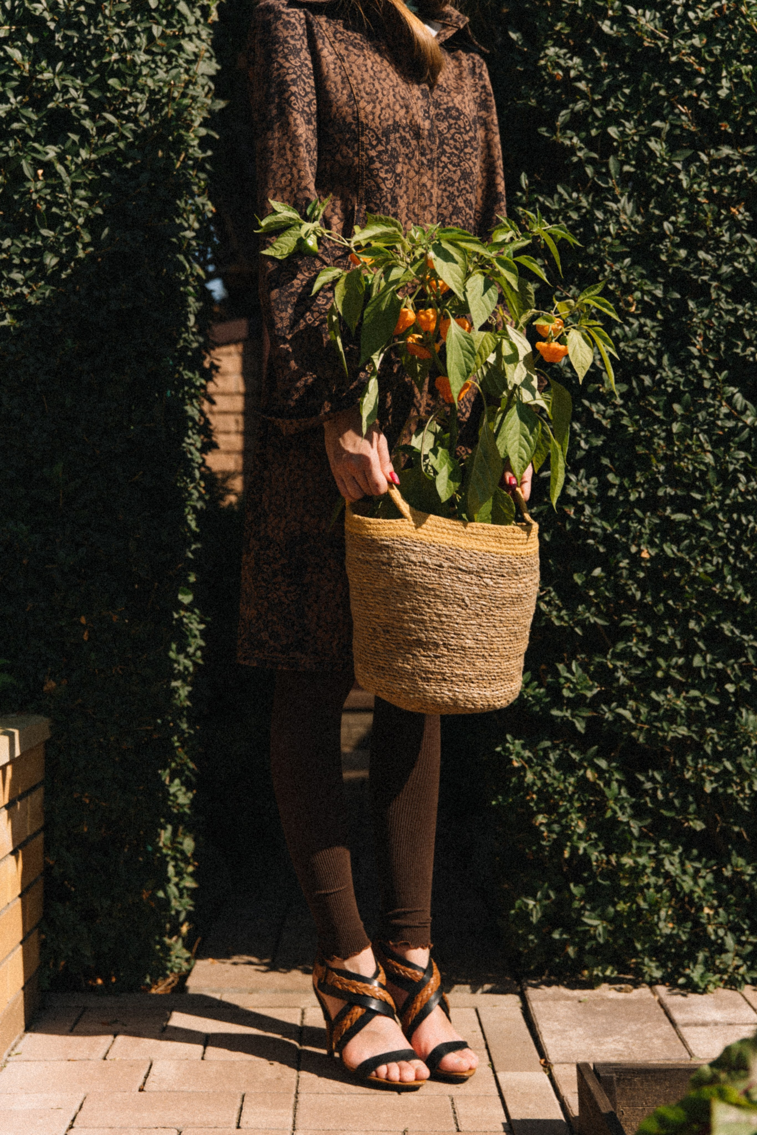 Zo brand. Фотограф Санкт-Петербург. Аврамова Анастасия