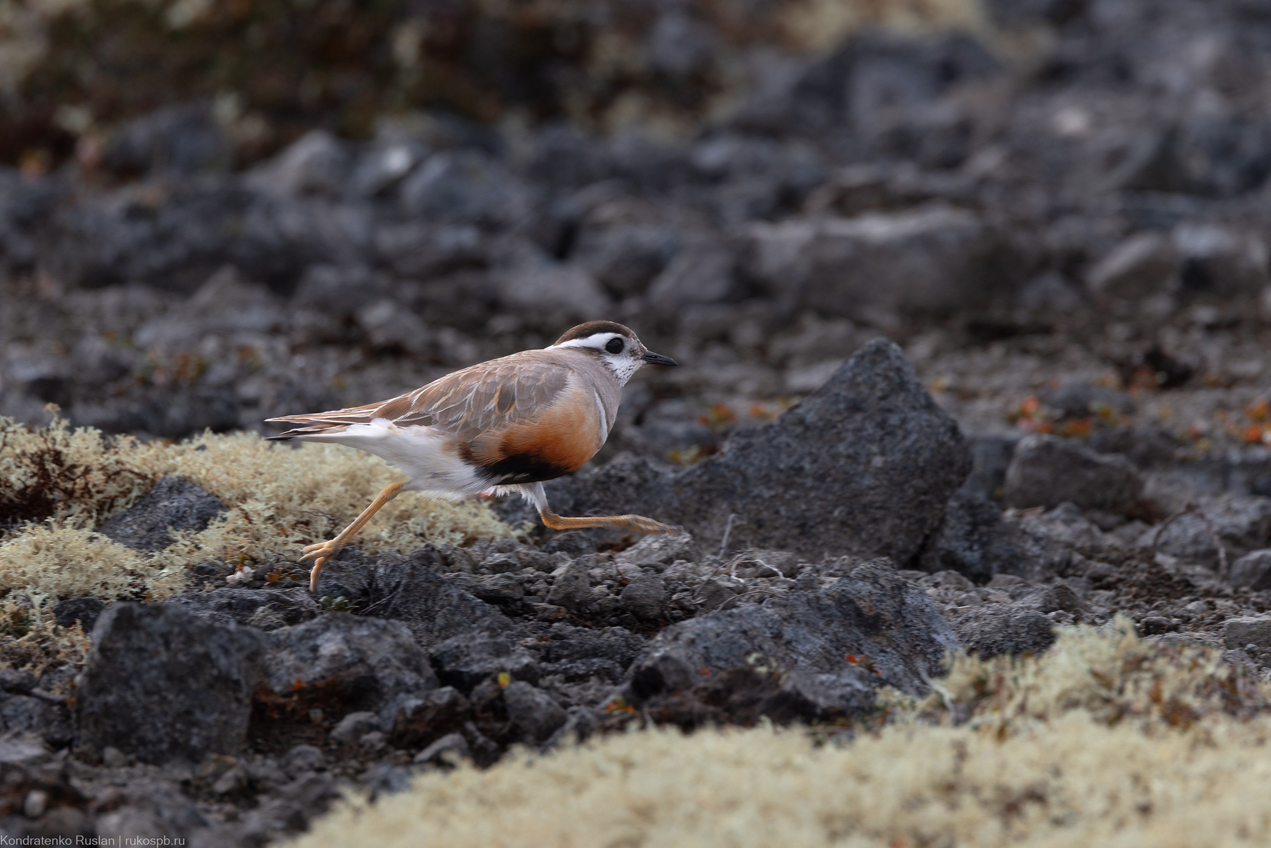 Хрустан. Архитектурный и пейзажный фотограф Кондратенко Руслан, Санкт-Петербург