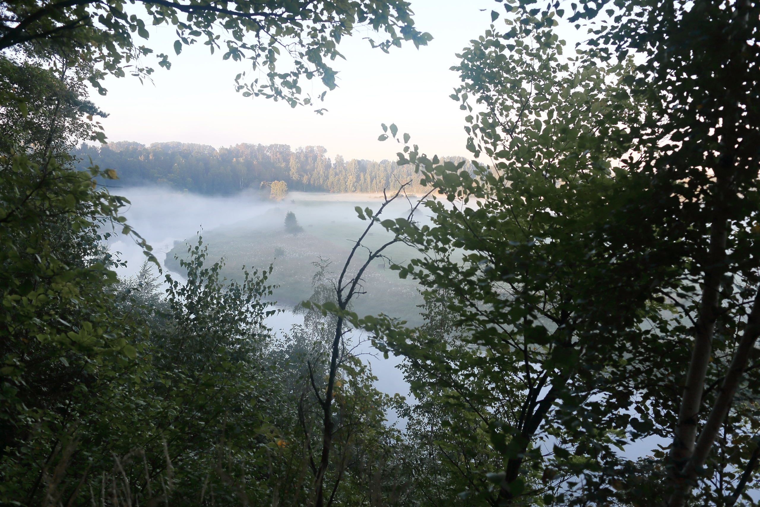 Средняя полоса. Свадебный и репортажный фотограф в Ярославле и Санкт-Петербурге Роман Микрюков