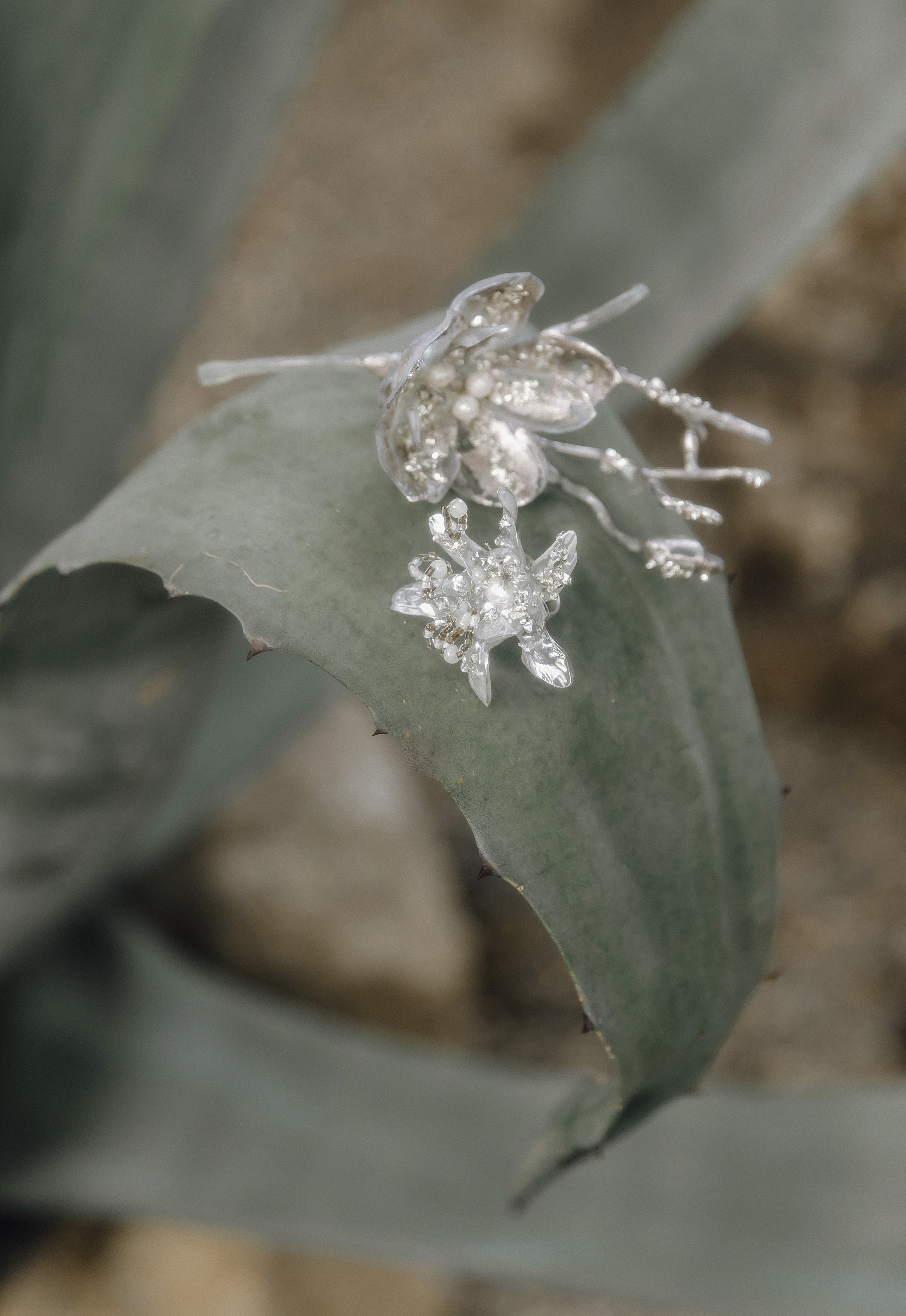 Kate & Nikita. Свадебный фотограф в Севастополе и Крыму| Tanya Sher