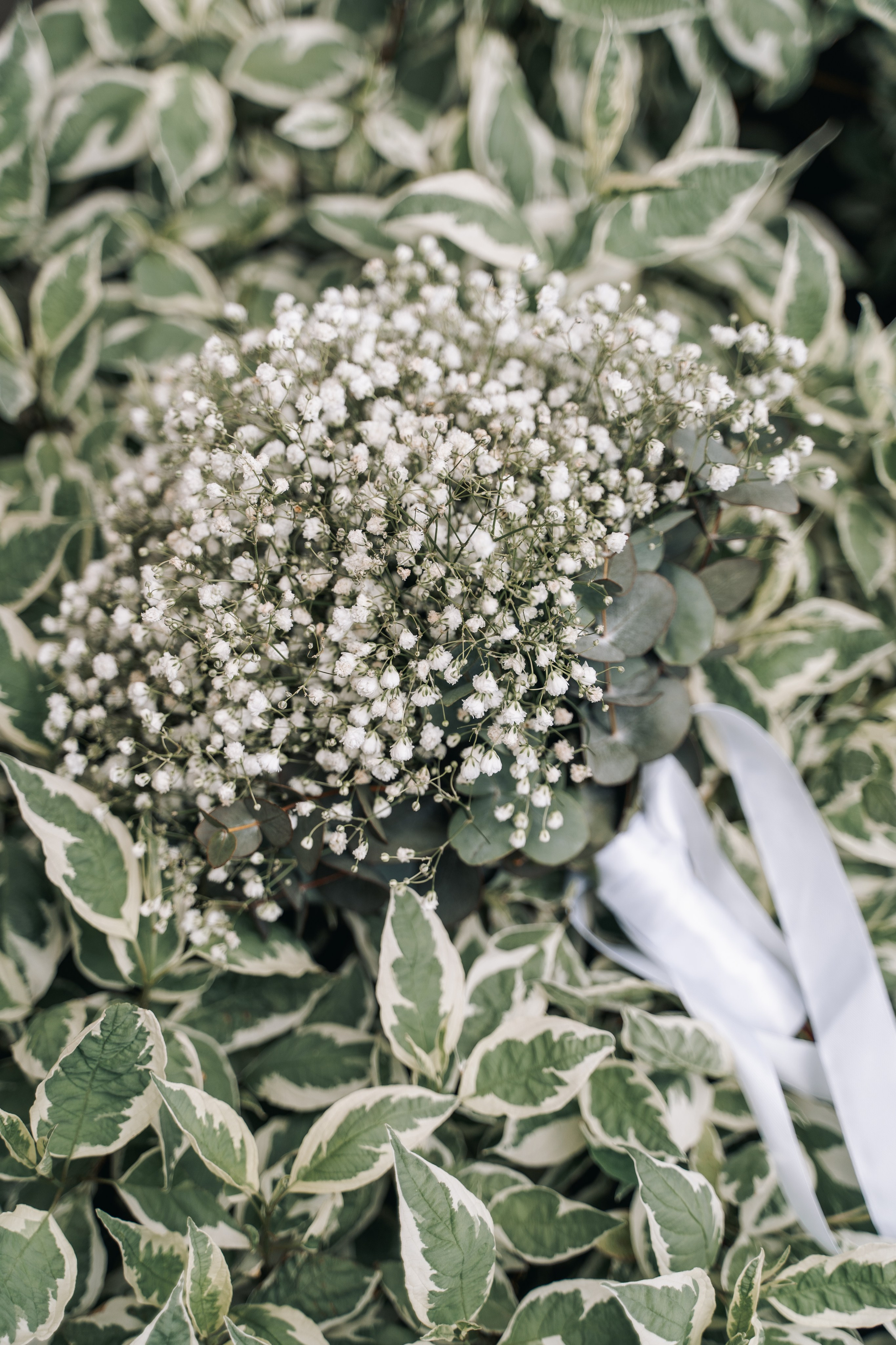 Саша и Таня. Фотограф Александр Решня