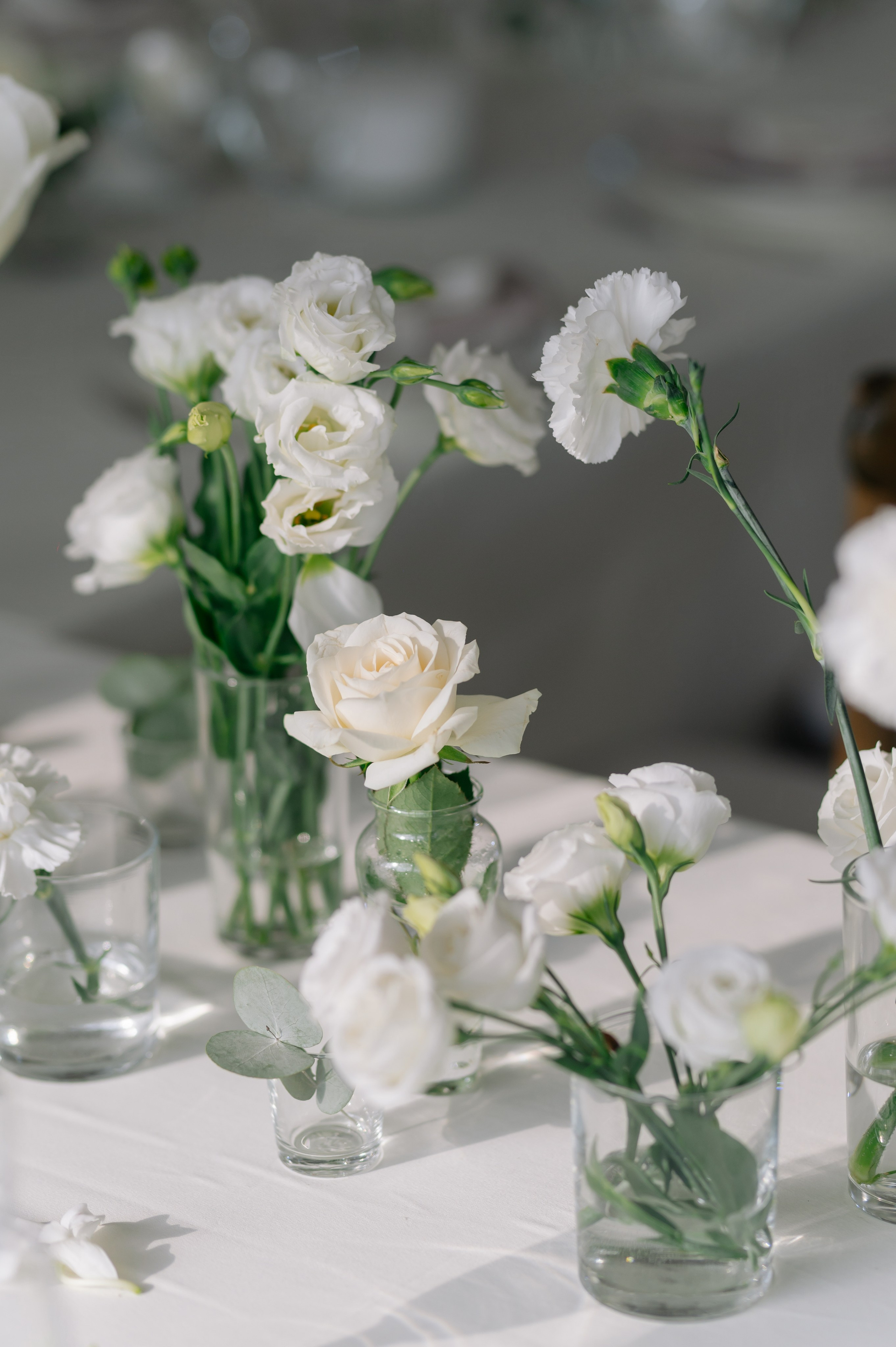 Влад и Диана. Свадебный фотограф Минск, Пинск, Брест, Гродно Чернигов Андрей