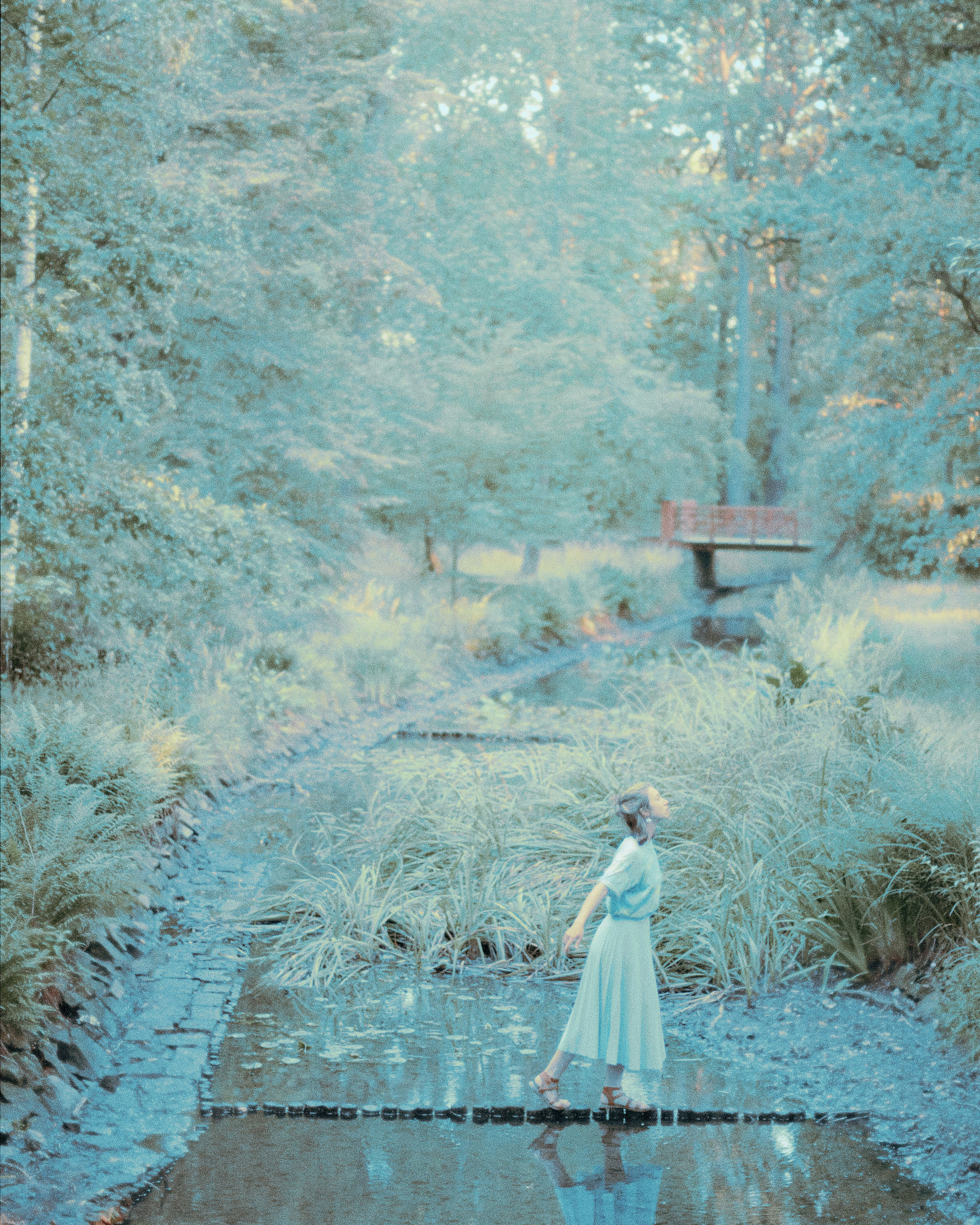 Нежный Вроцлав. Антон Арнольд | Фотограф Минск