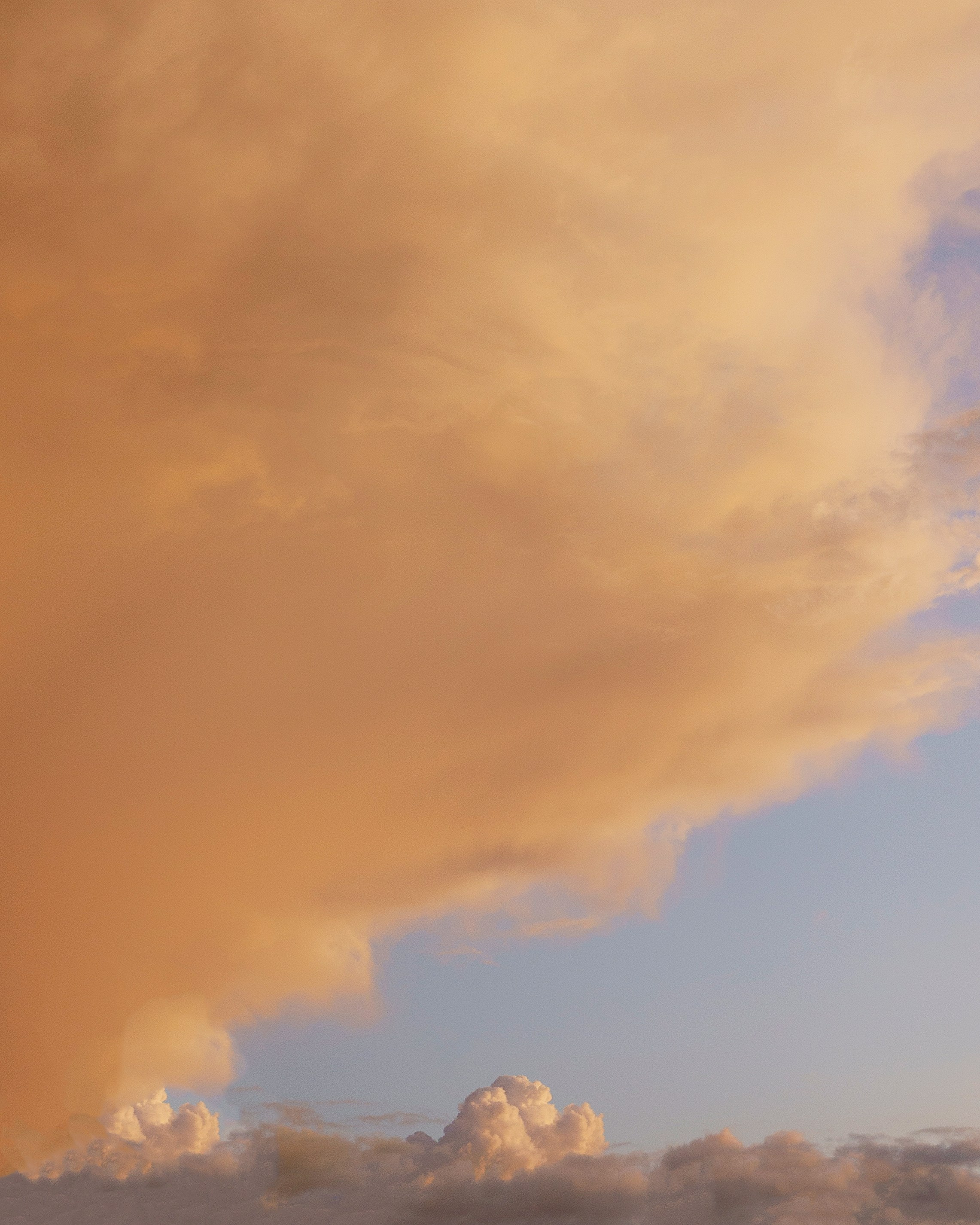 SOHO. Свадебный фотограф в Москве Кристина Чехова