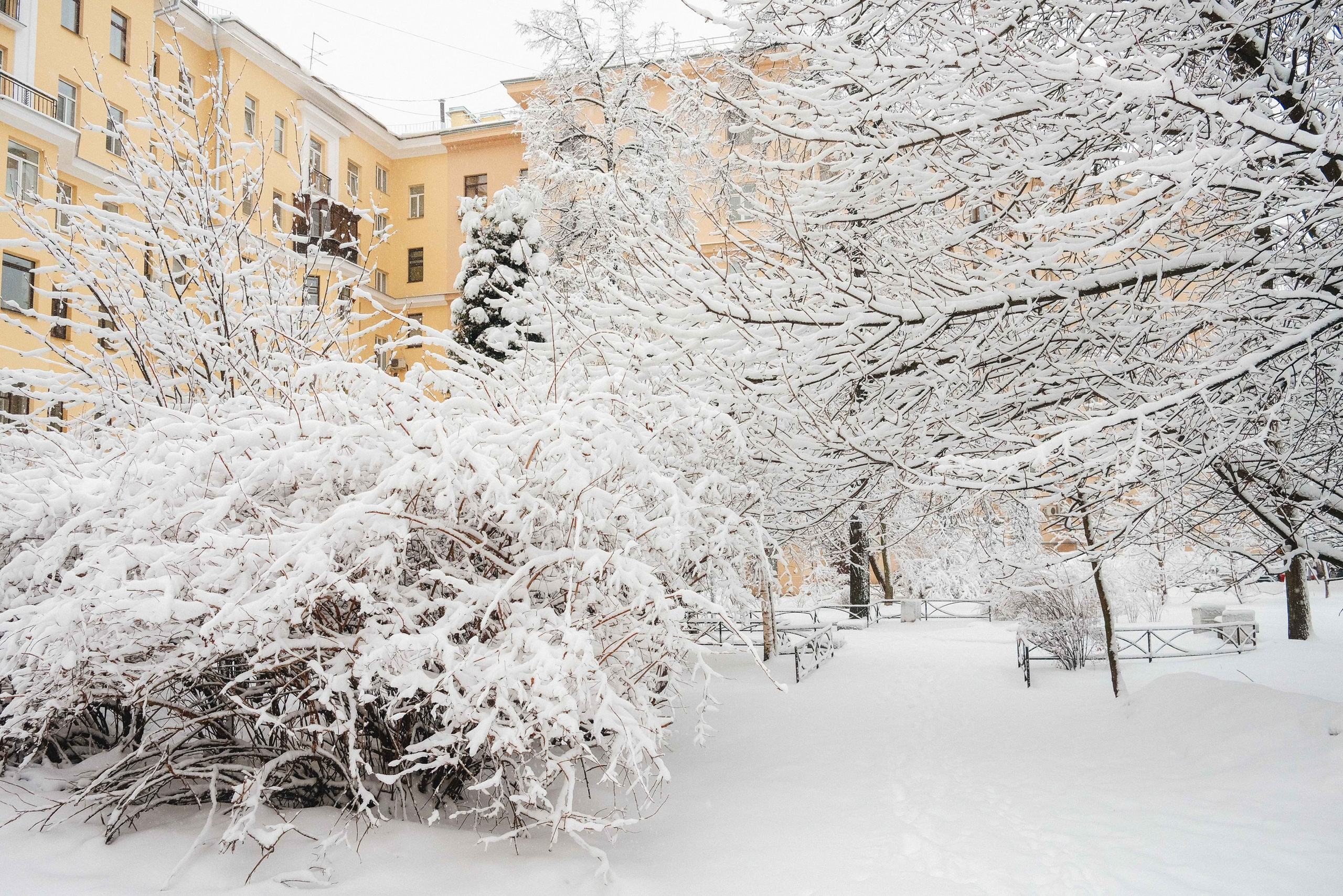 2023.03. Фотограф Алексей Алексеев