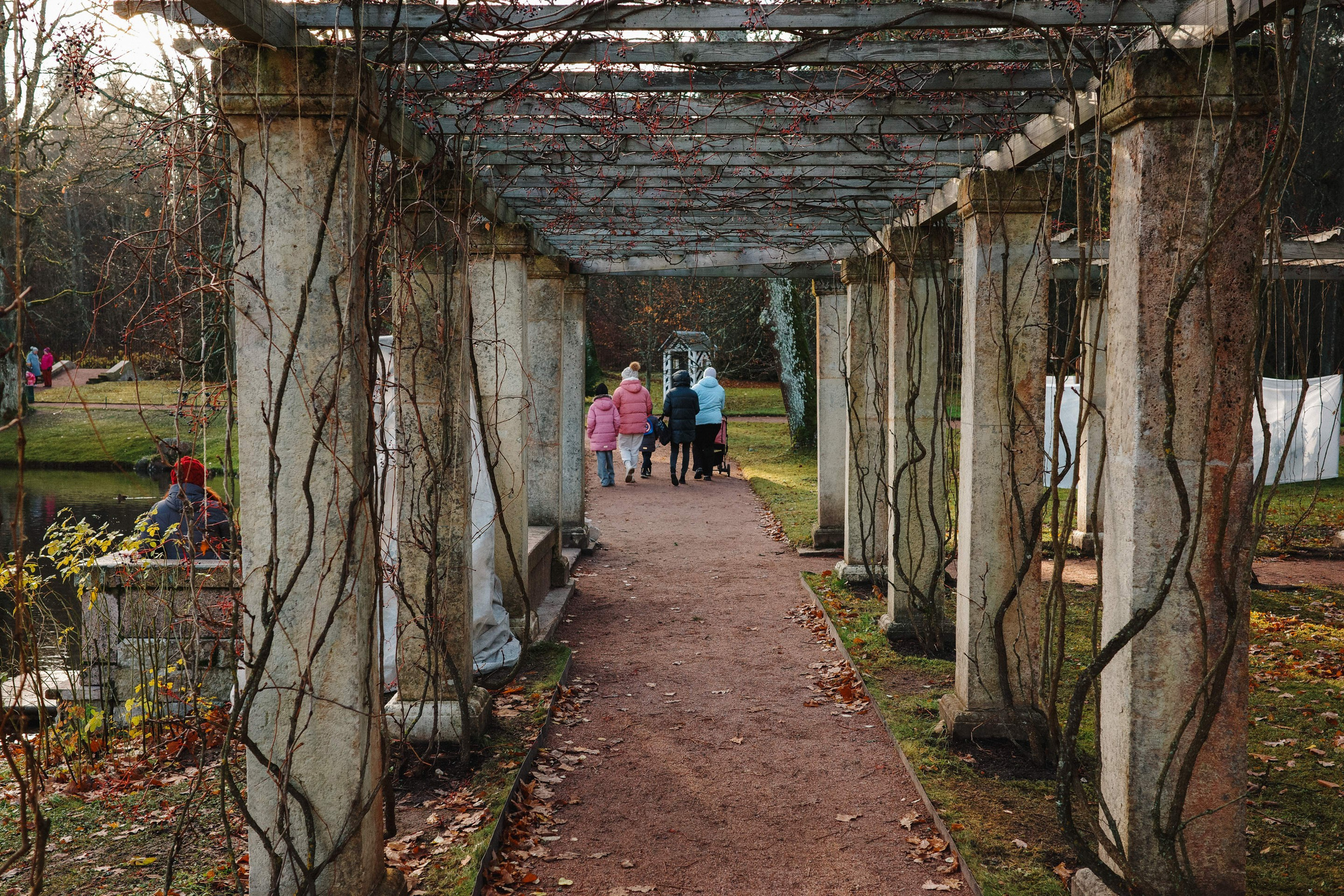 2024.11. Фотограф Алексей Алексеев