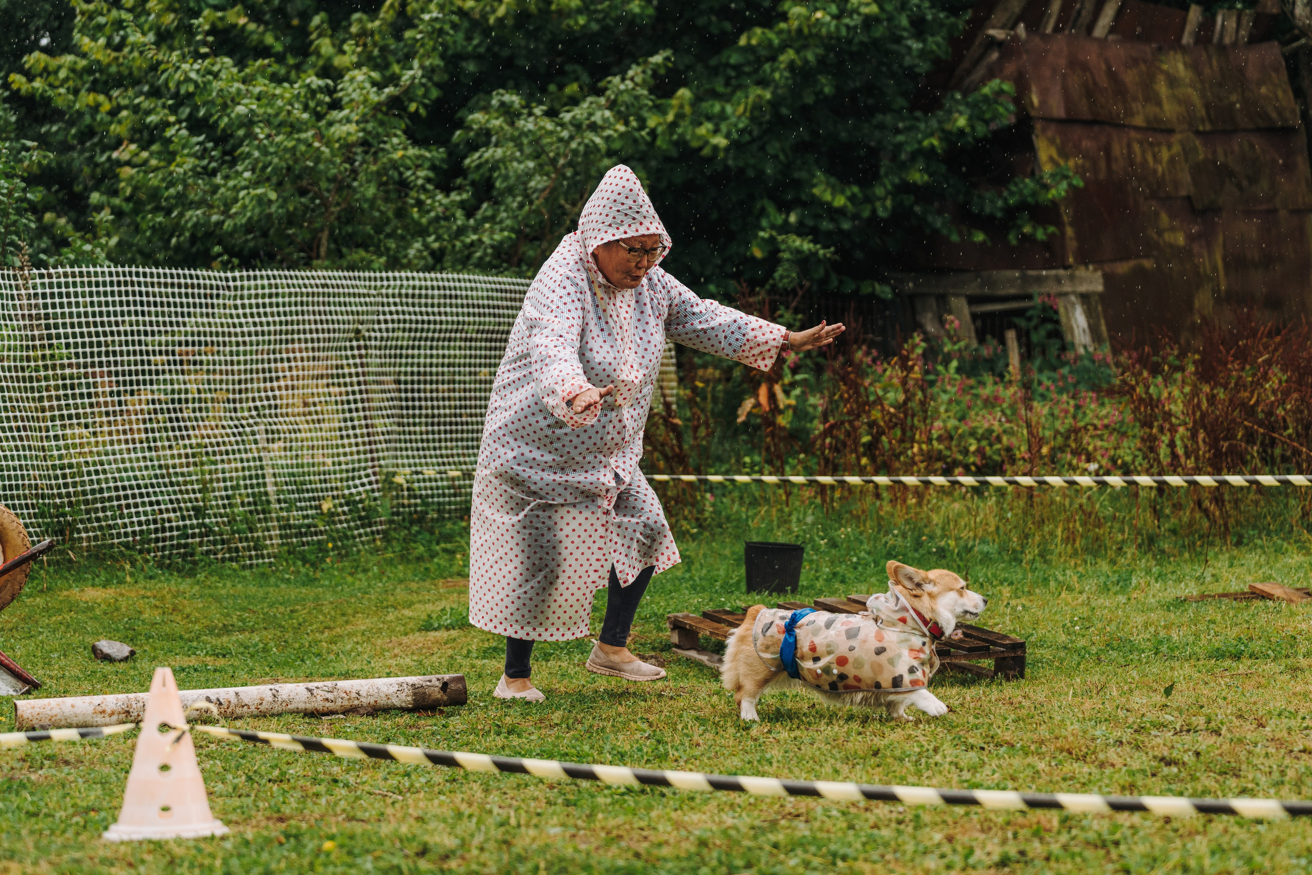 Соревнования по ноузворку в Новожилово. Фотограф анималист в Спб недорого Олеся Майорова