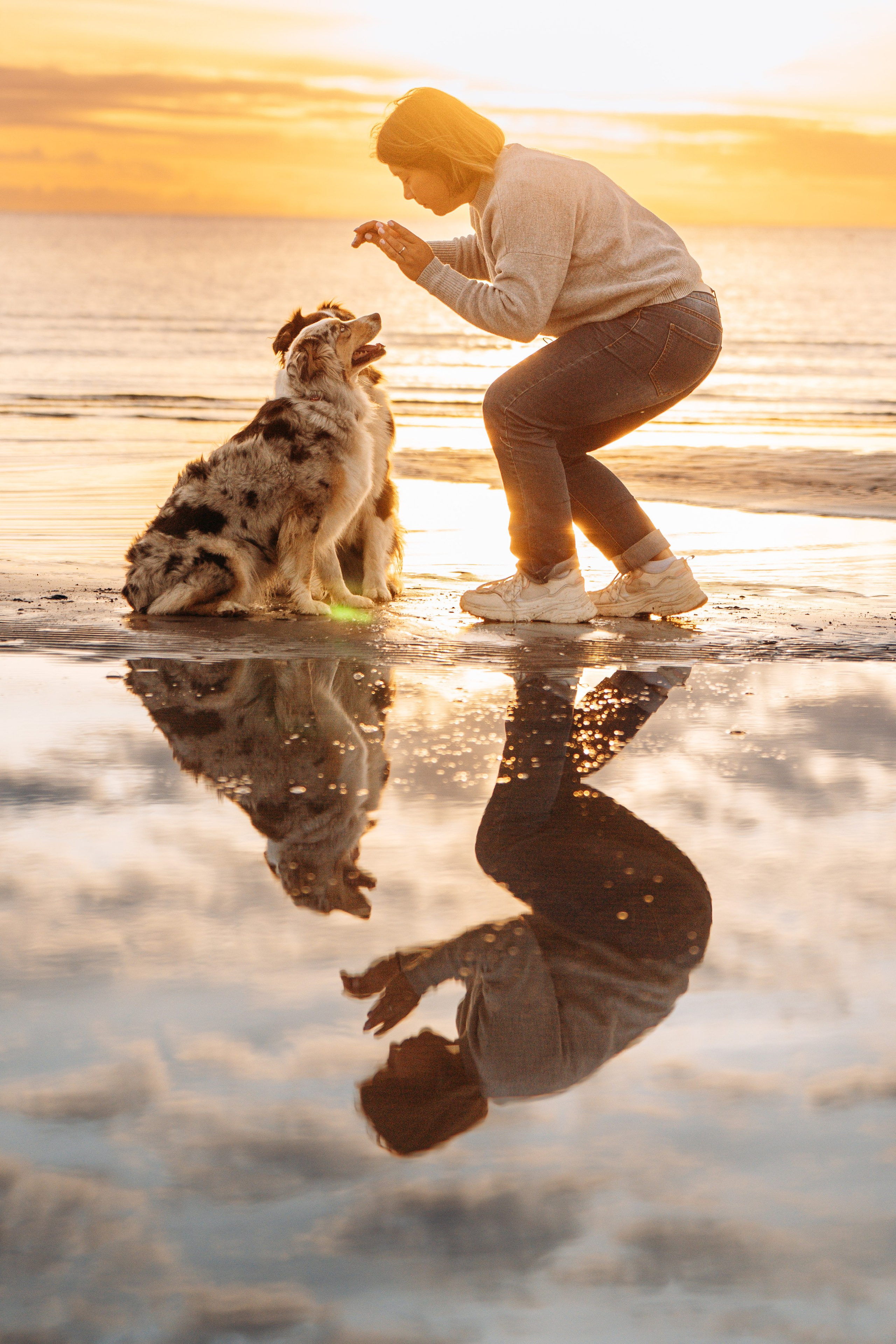 Фотограф анималист в Спб. Фотограф анималист в Спб недорого Олеся Майорова