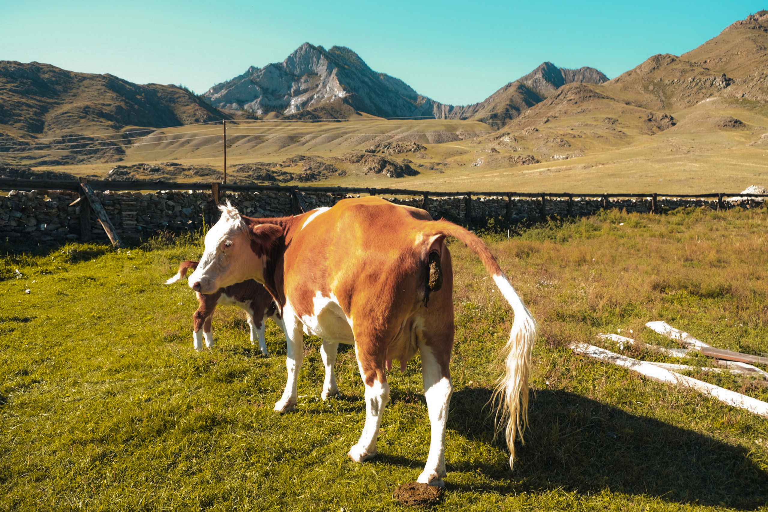 Altai 21'. Фотограф в Тюмени Кирилл Марфин