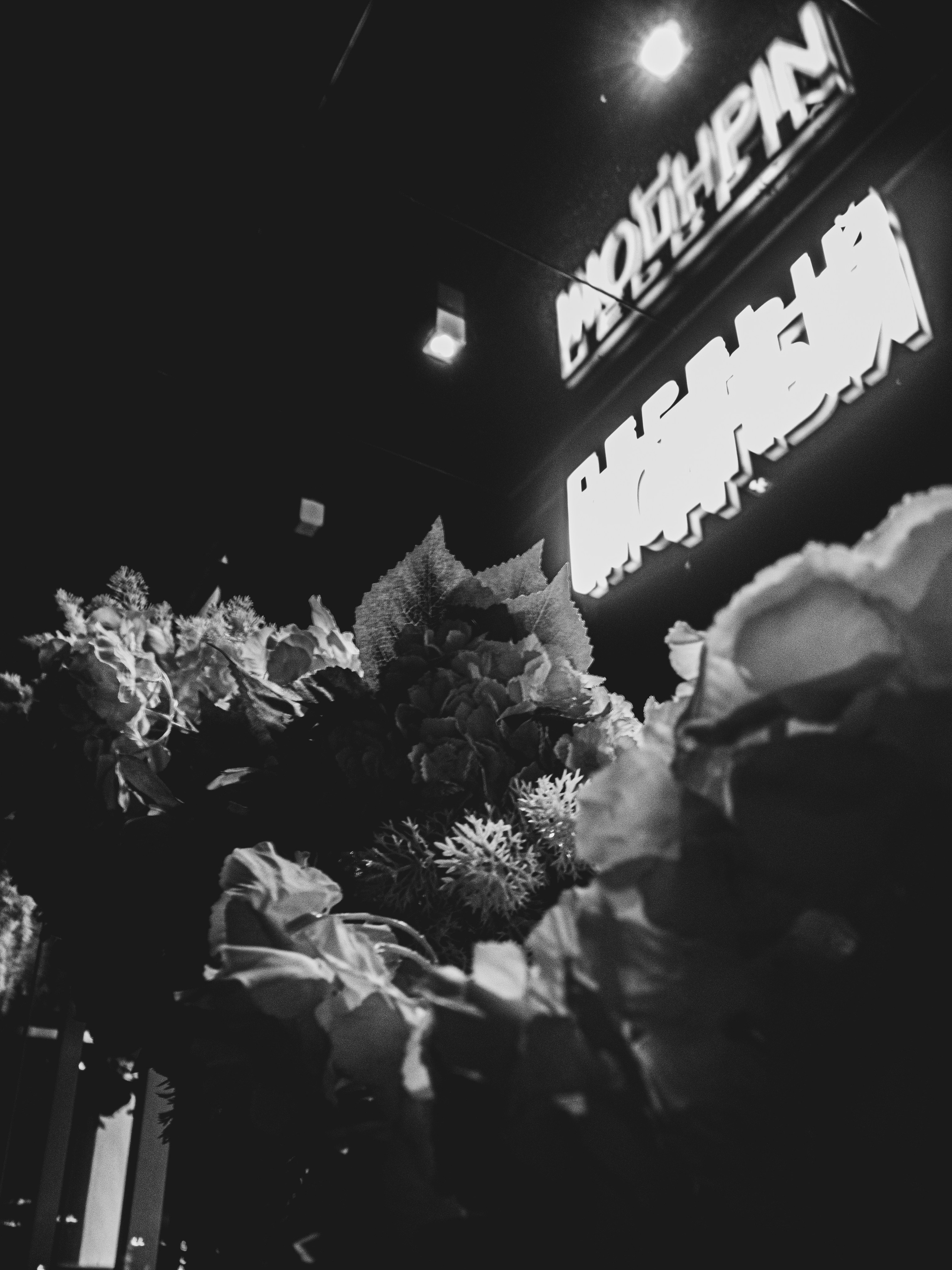 B&W. Максим и Наталья Фёдоровы — Портретные и свадебные фотографы в Хабаров