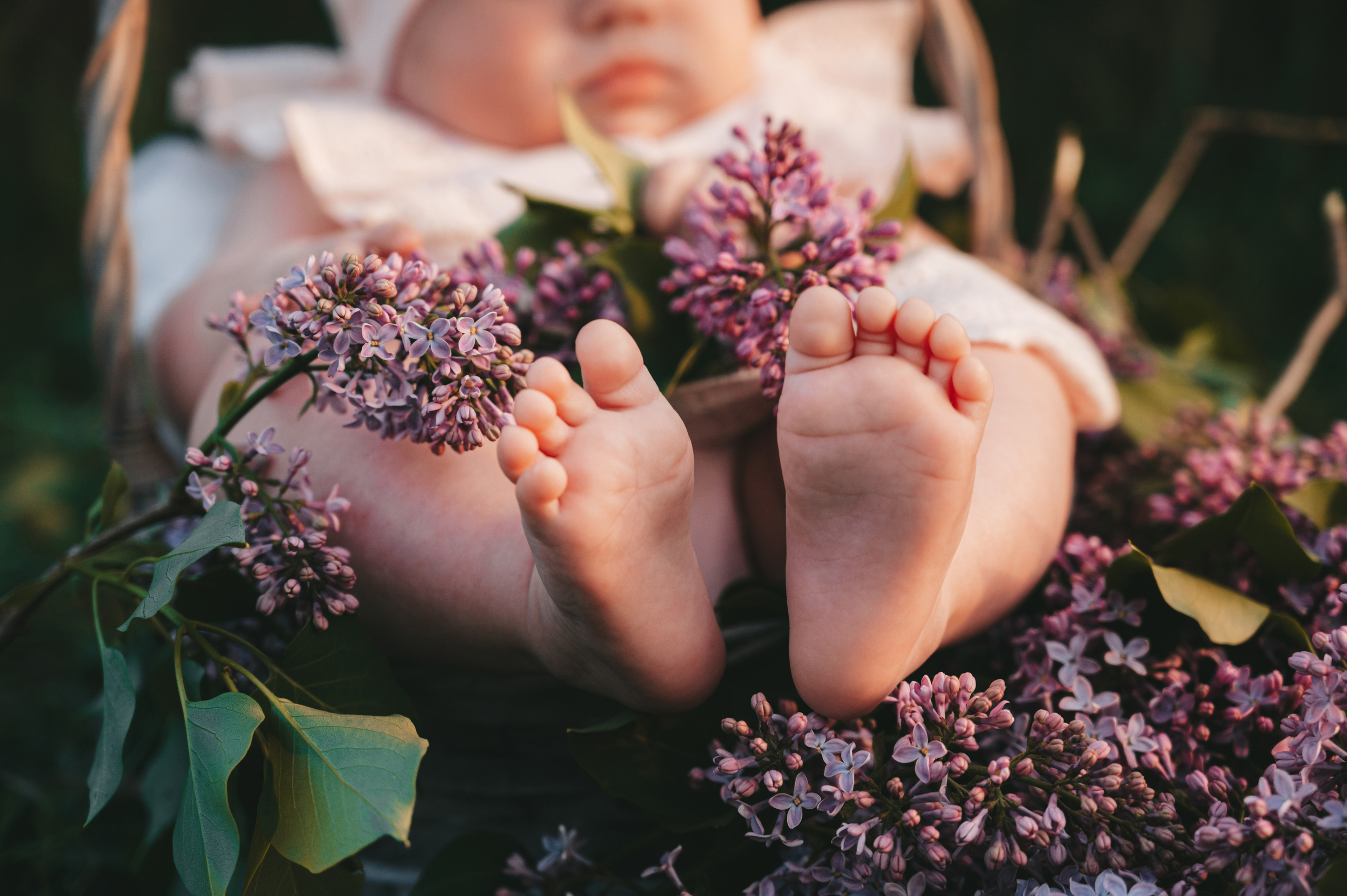 Алексеевы. Свадебный и семейный фотограф Вероника Холод