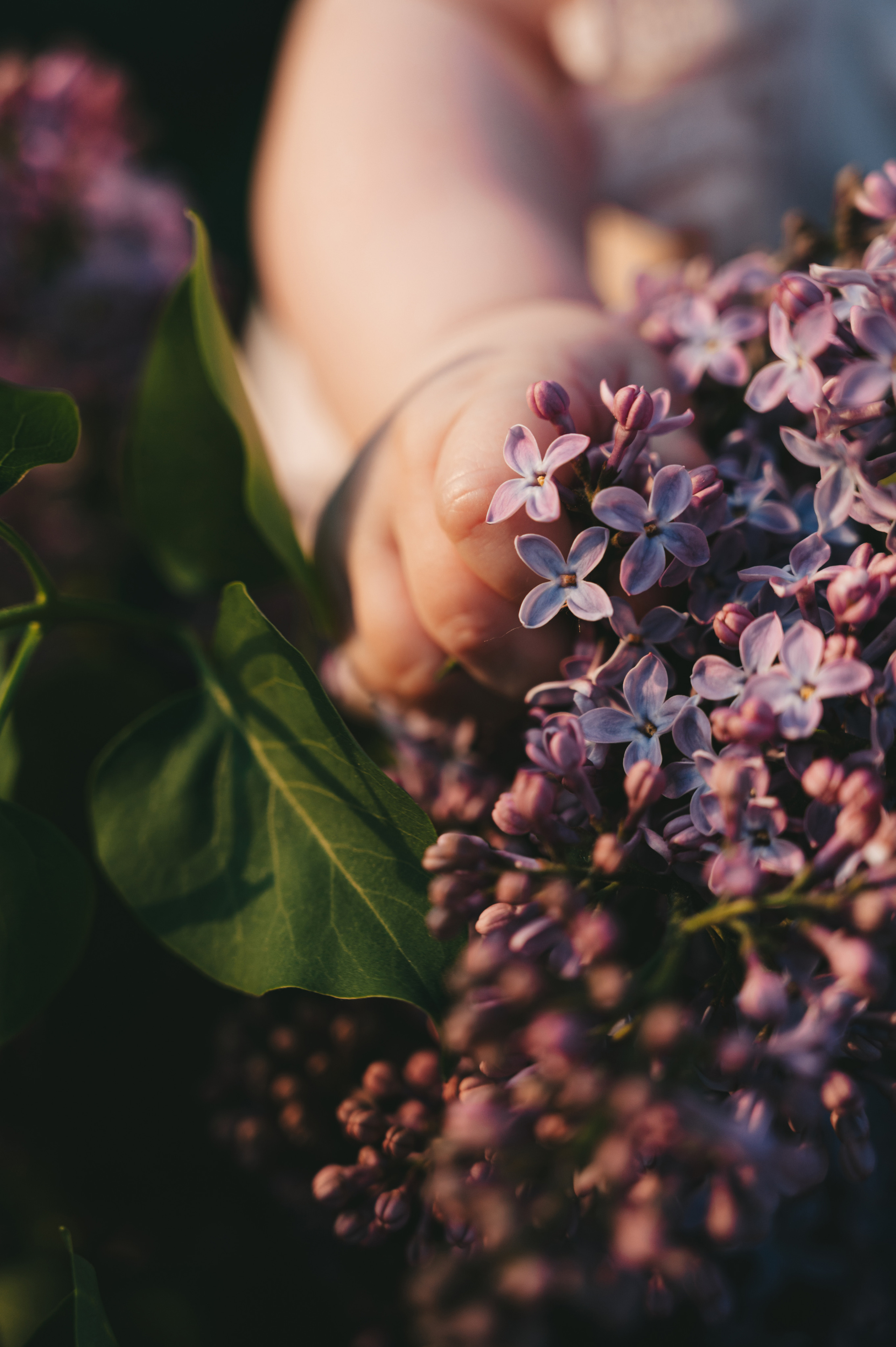 Алексеевы. Свадебный и семейный фотограф Вероника Холод