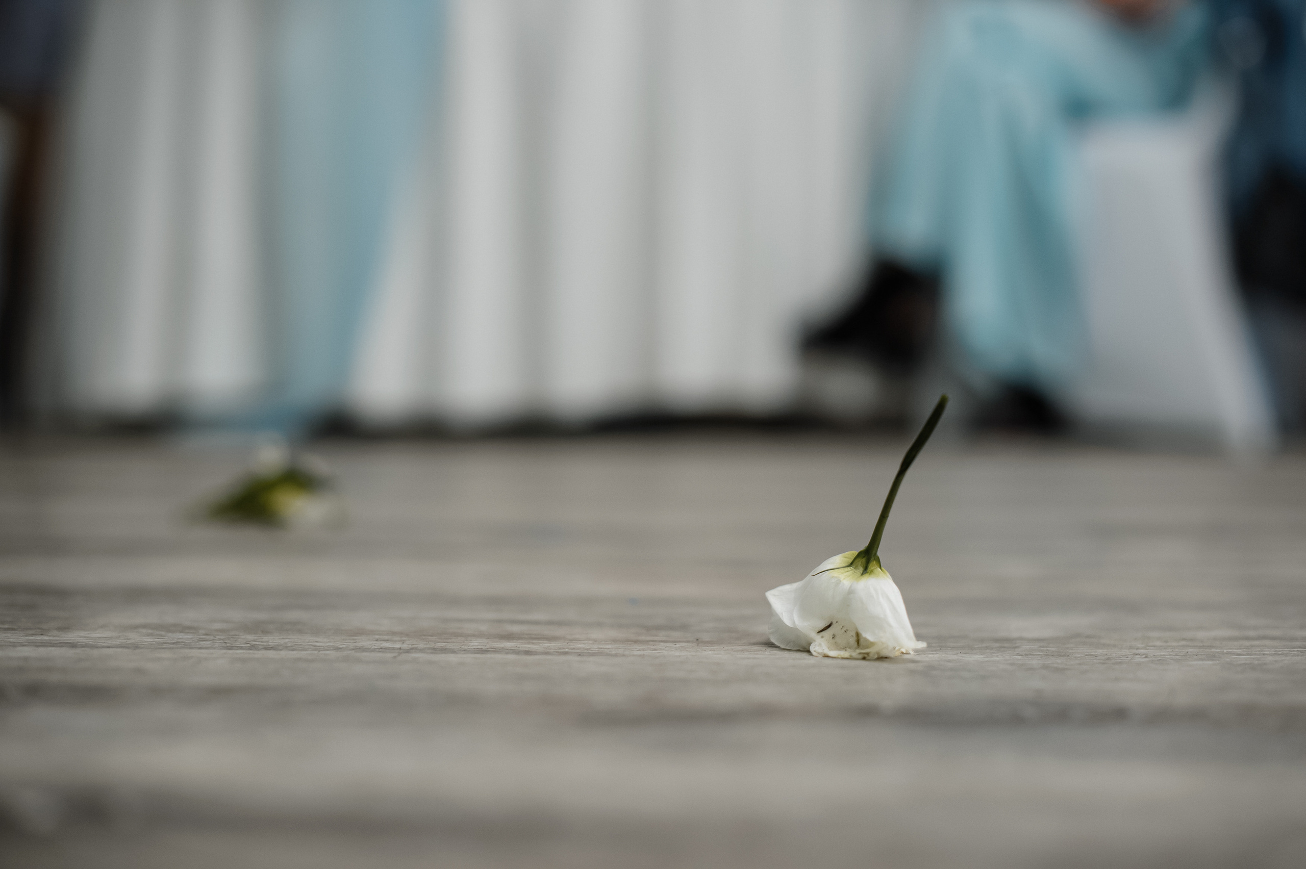 Большое путешествие. Фотограф Владивосток. Игорь Кирсанов