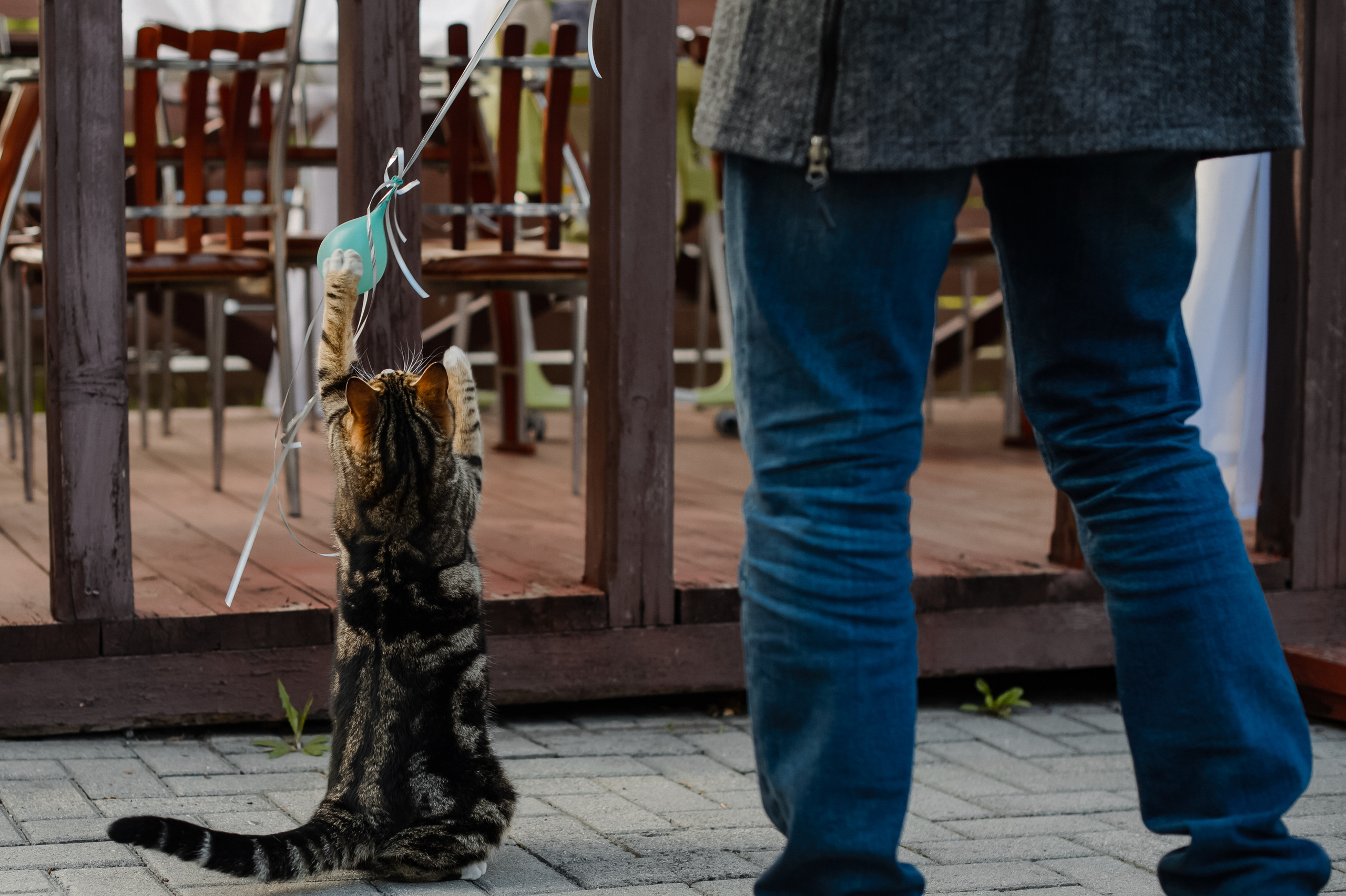 Годовщина!. Фотограф Владивосток. Игорь Кирсанов