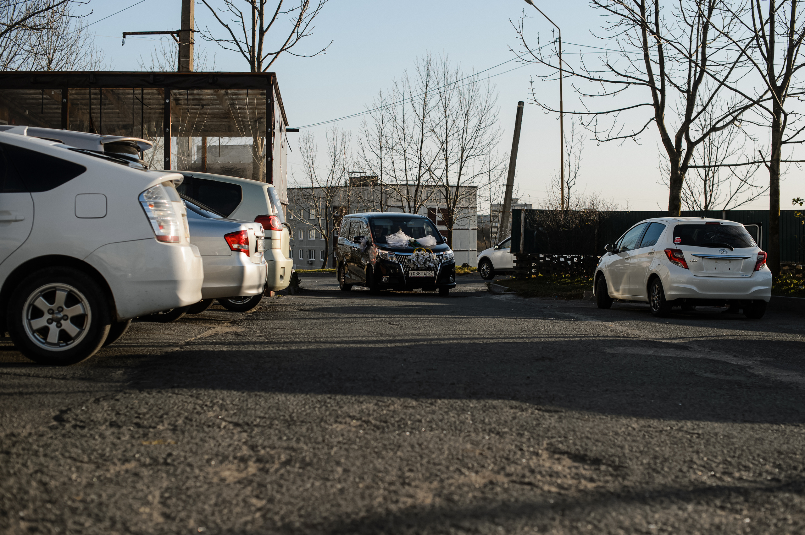 Успели поймать золотую осень. Фотограф Владивосток. Игорь Кирсанов