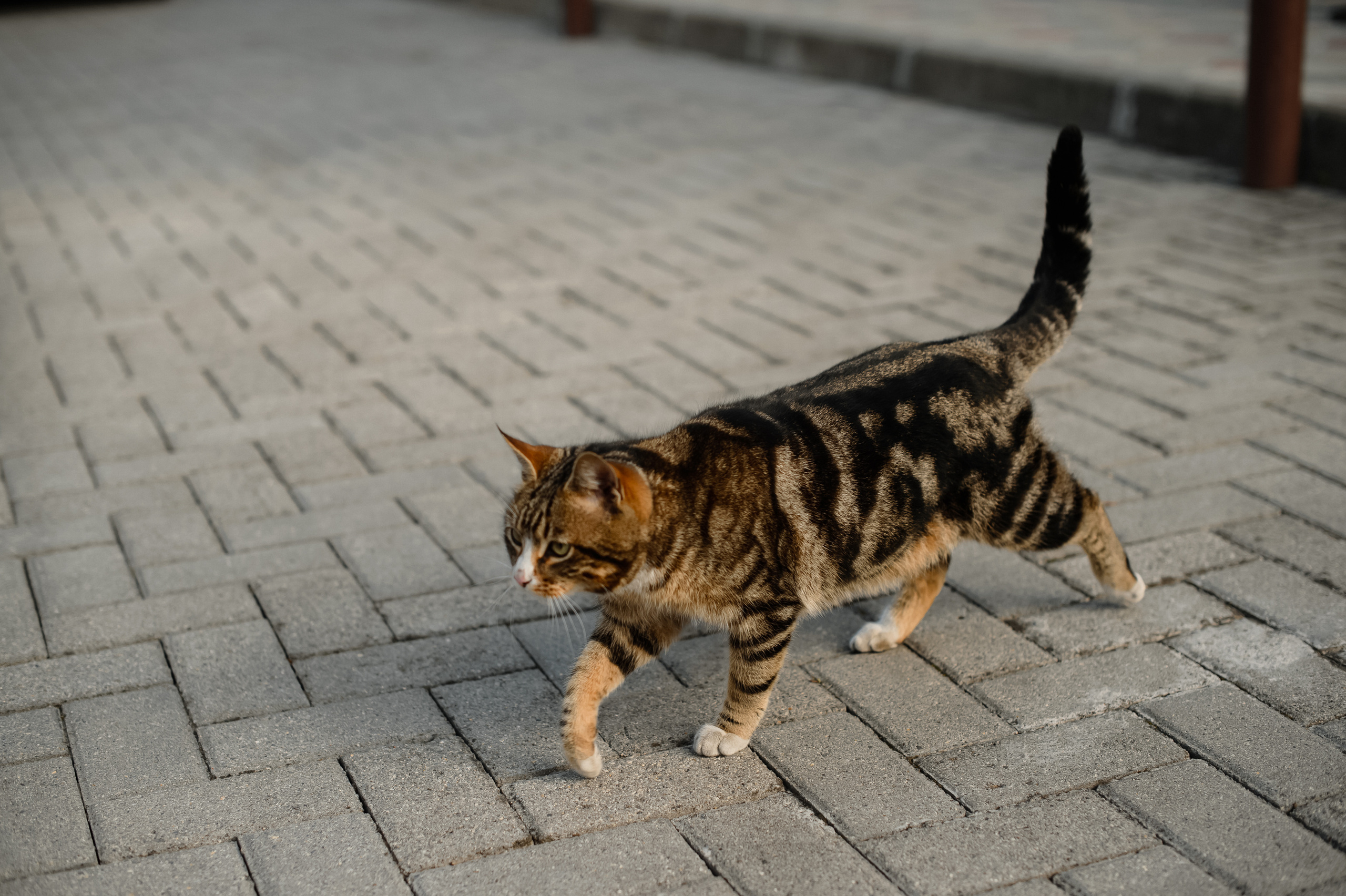 Годовщина!. Фотограф Владивосток. Игорь Кирсанов