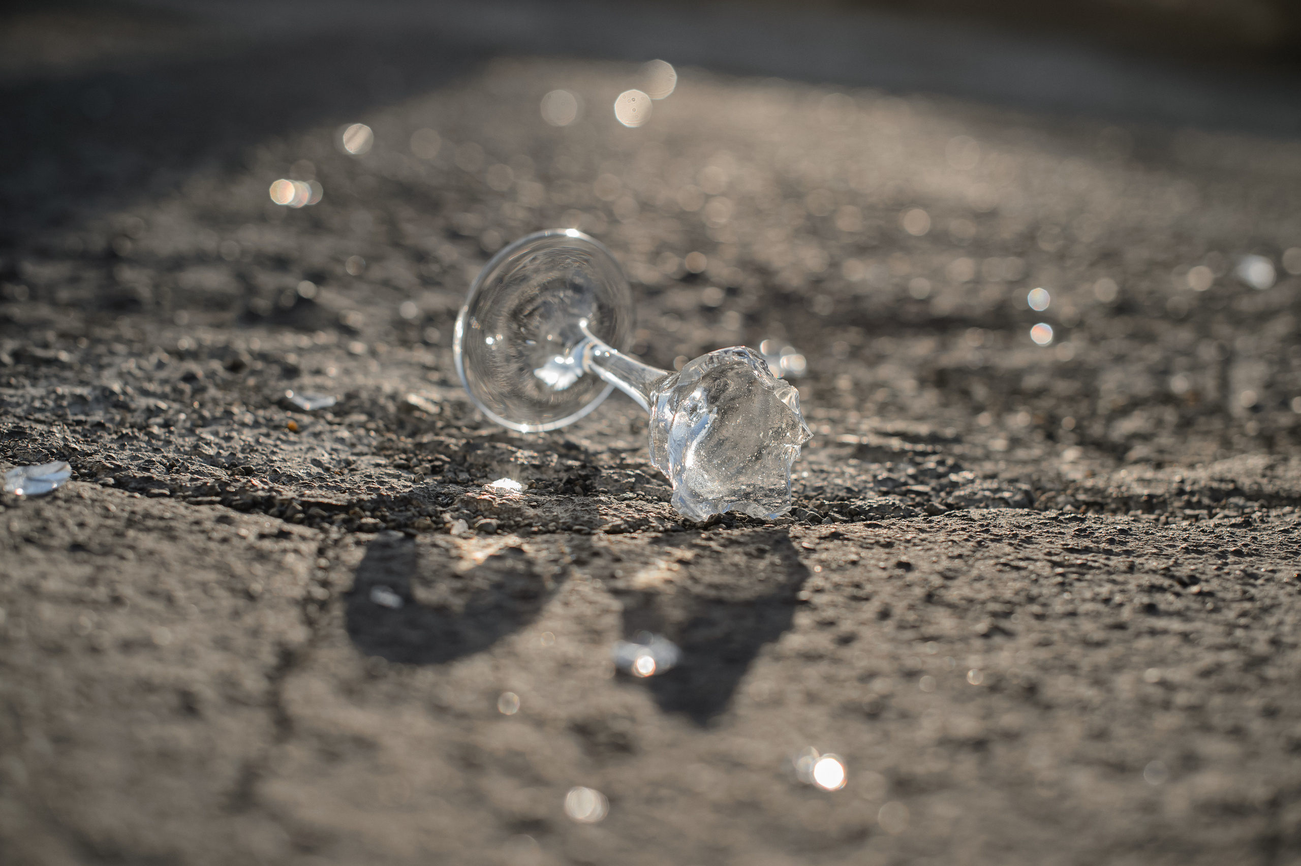 Успели поймать золотую осень. Фотограф Владивосток. Игорь Кирсанов