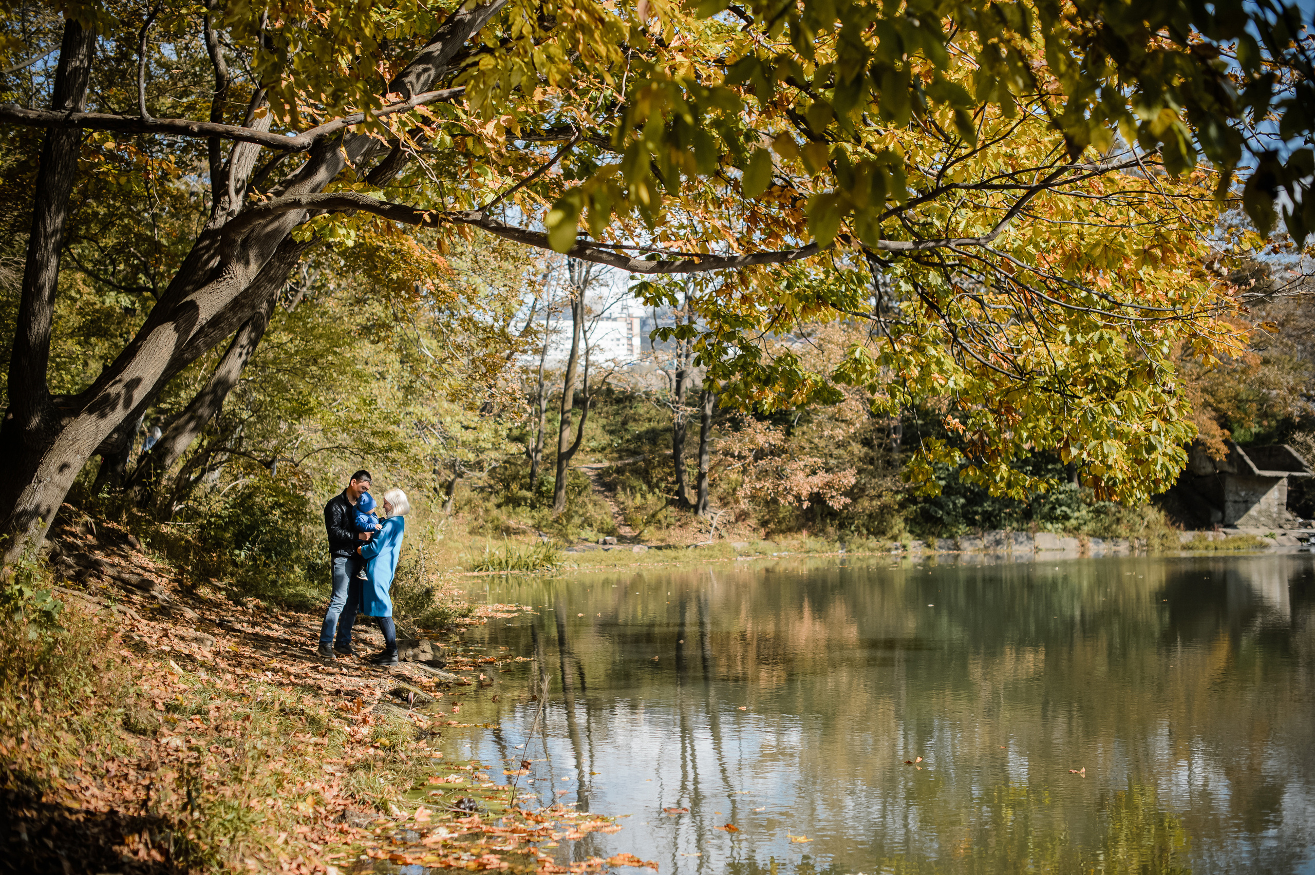 Золотая осень. Фотограф Владивосток. Игорь Кирсанов