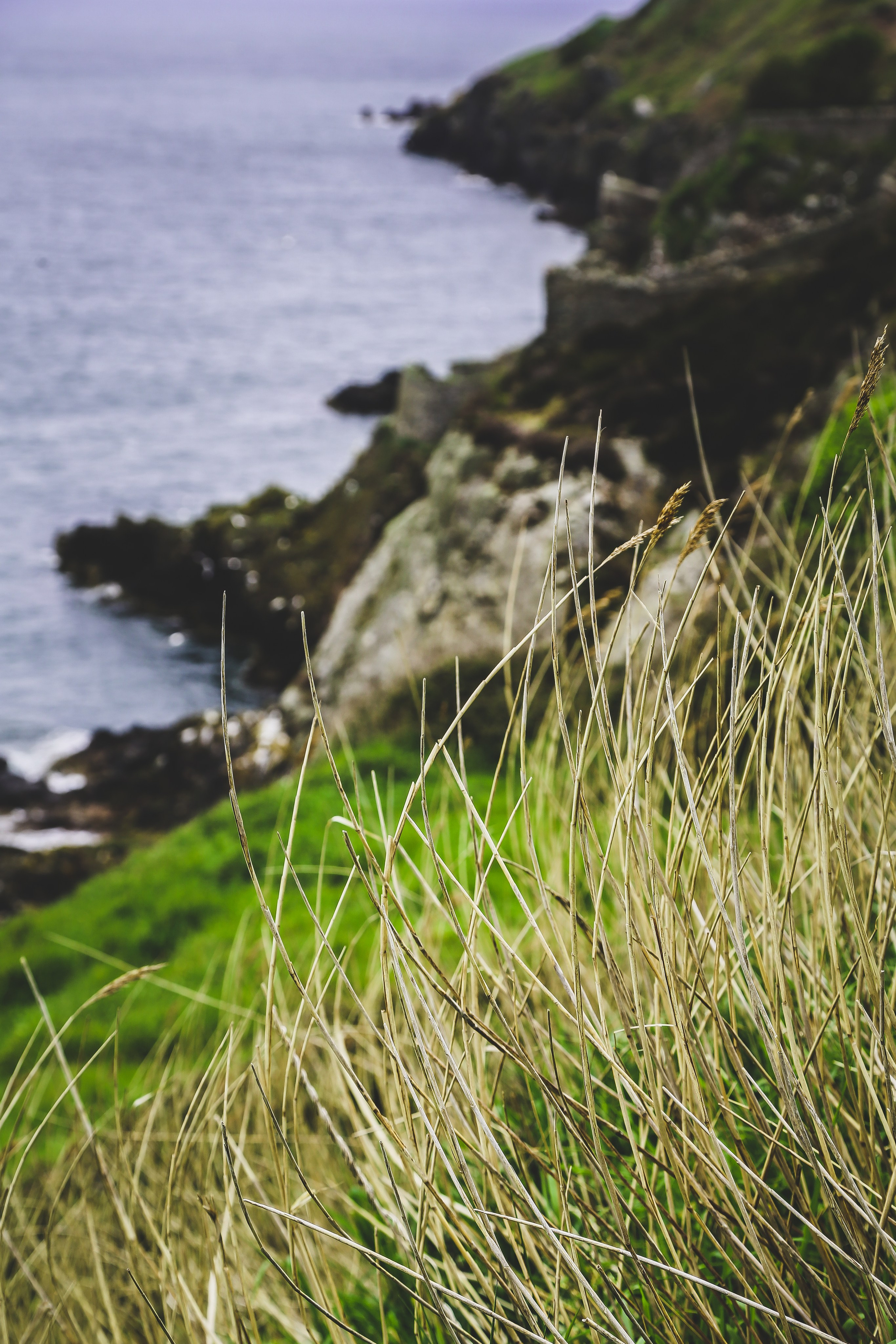Ирландия: Хоут — тропинка на одного. Дарья Письменюк / Darya Leitstern — фотограф, музыкант, журналист, путешественник