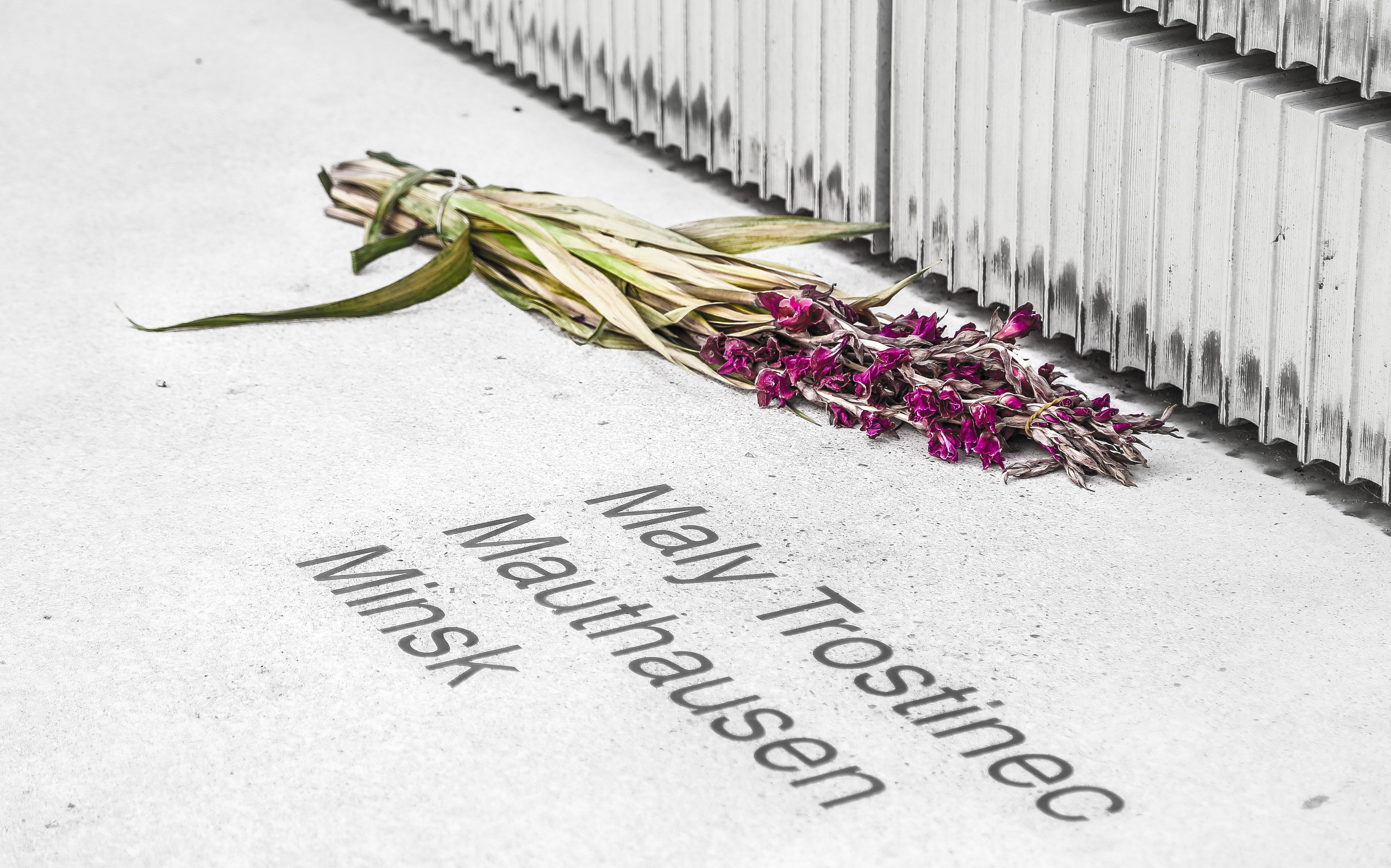 Австрия: Вена — Юденплатц и Центральной кладбище. Дарья Письменюк / Darya Leitstern — фотограф, музыкант, журналист, путешественник