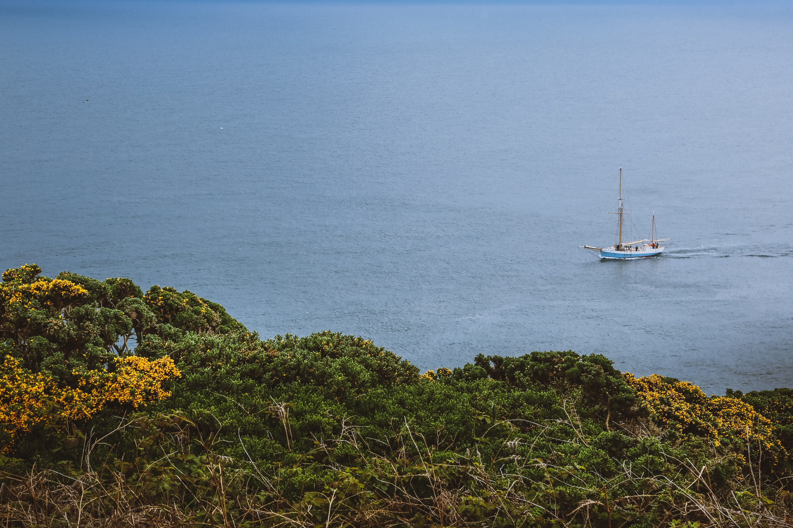 Ирландия: Хоут — тропинка на одного. Дарья Письменюк / Darya Leitstern — фотограф, музыкант, журналист, путешественник