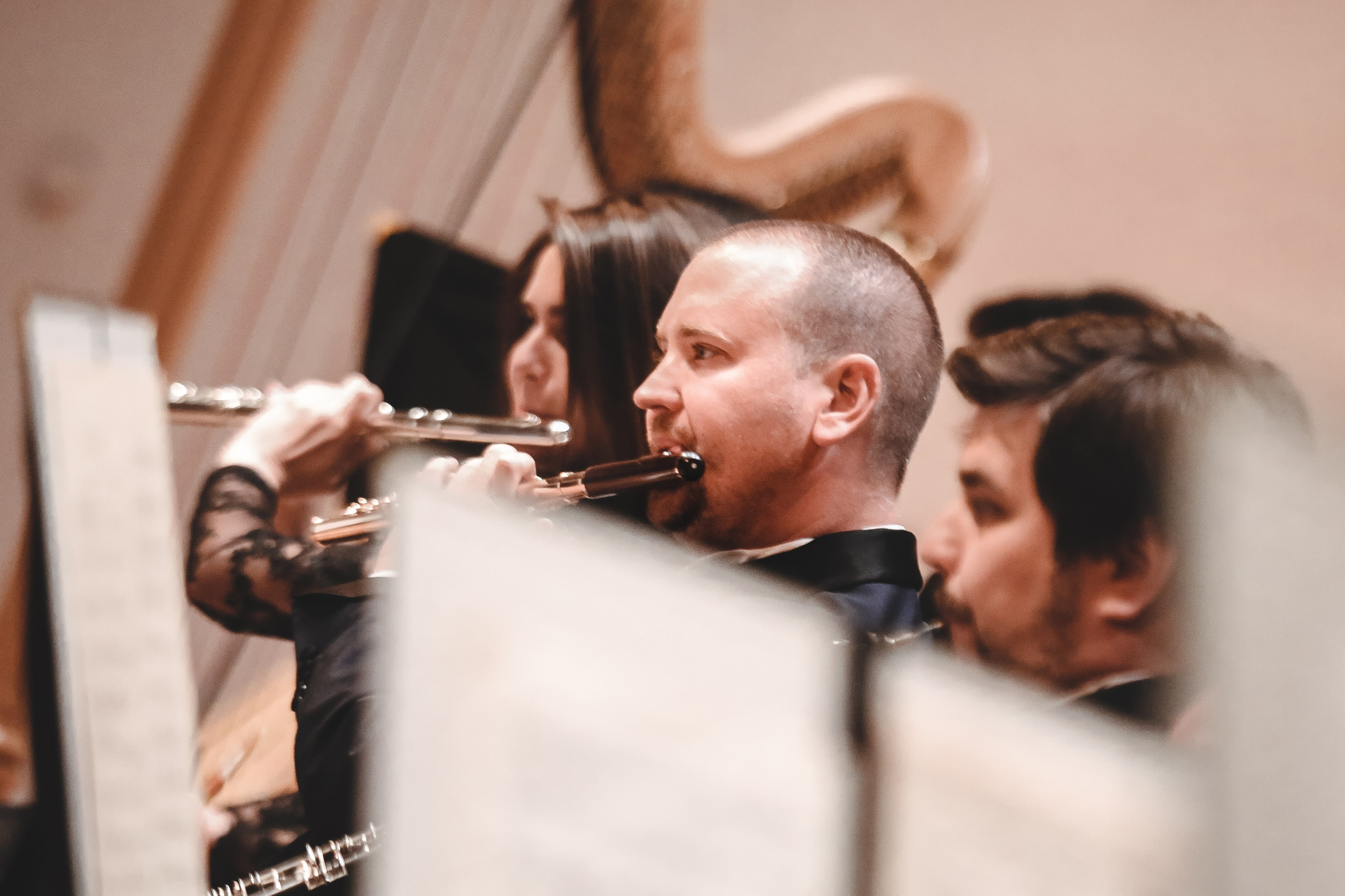 «Жемчужины программной музыки» с МГАСО в Зале Чайковского. Дарья Письменюк / Darya Leitstern — фотограф, музыкант, журналист, путешественник