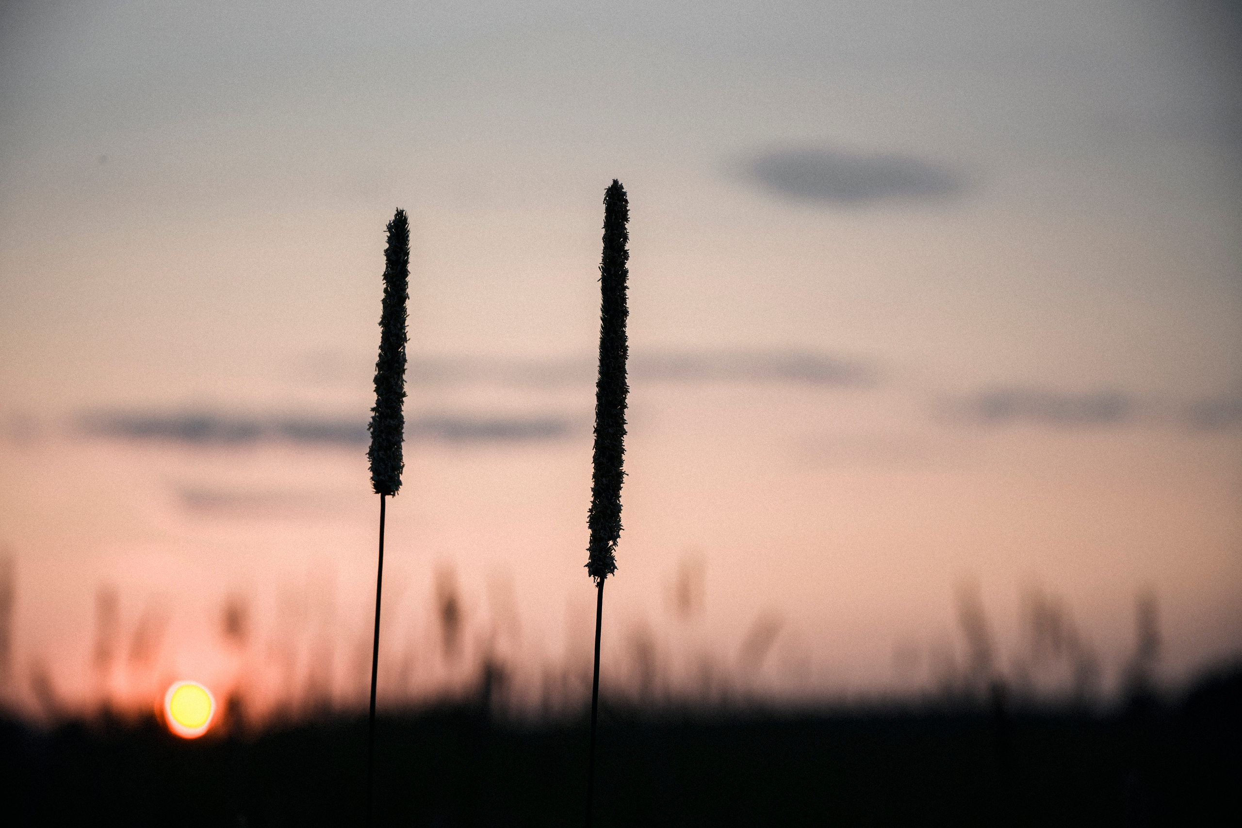 Черноголовка. Портретный фотограф в Москве — Иван Саяпин