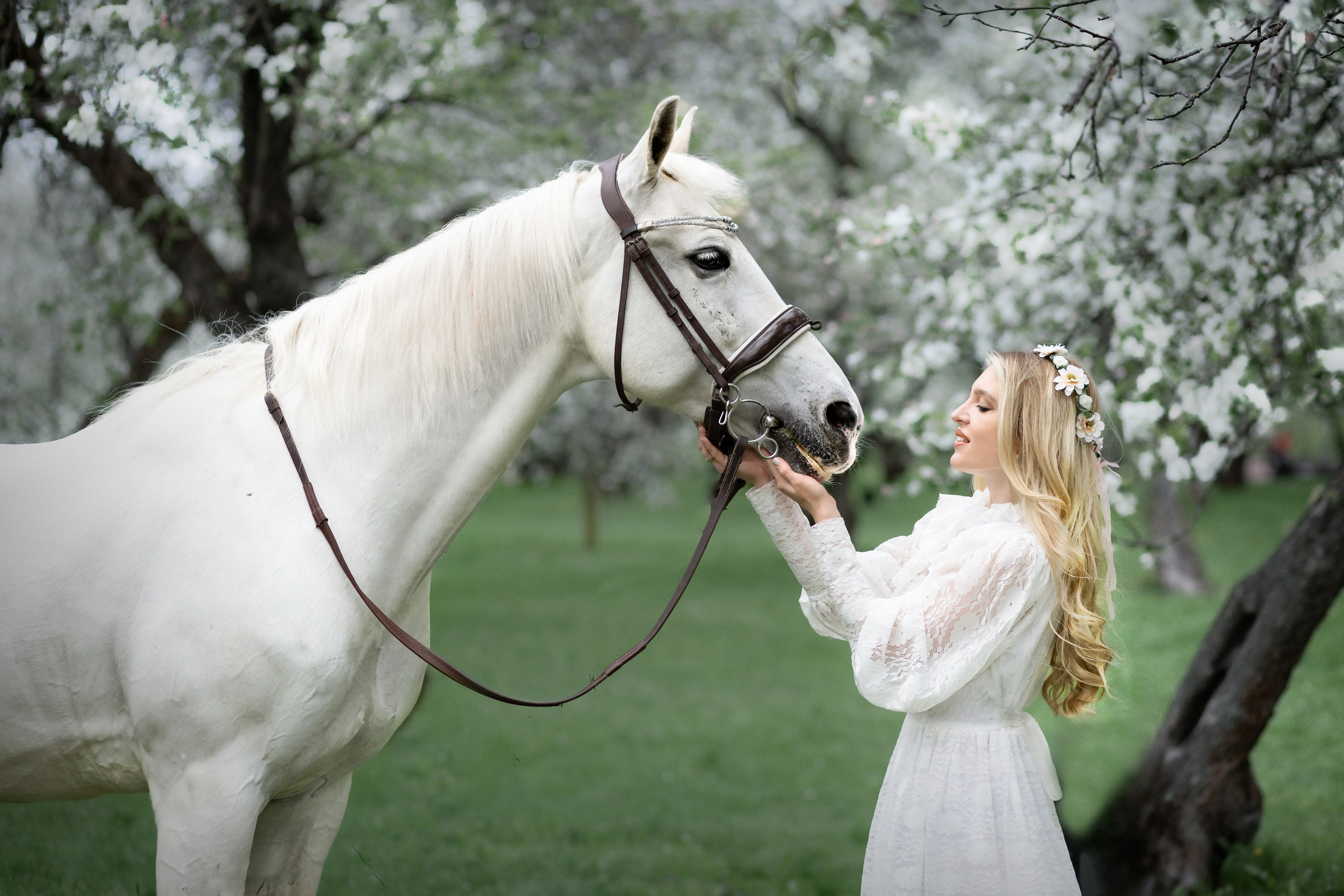 ЦВЕТЕНИЕ. ФОТОГРАФ В МОСКВЕ|НОВАЯ РИГА ОКСАНА МАРТЫНОВА