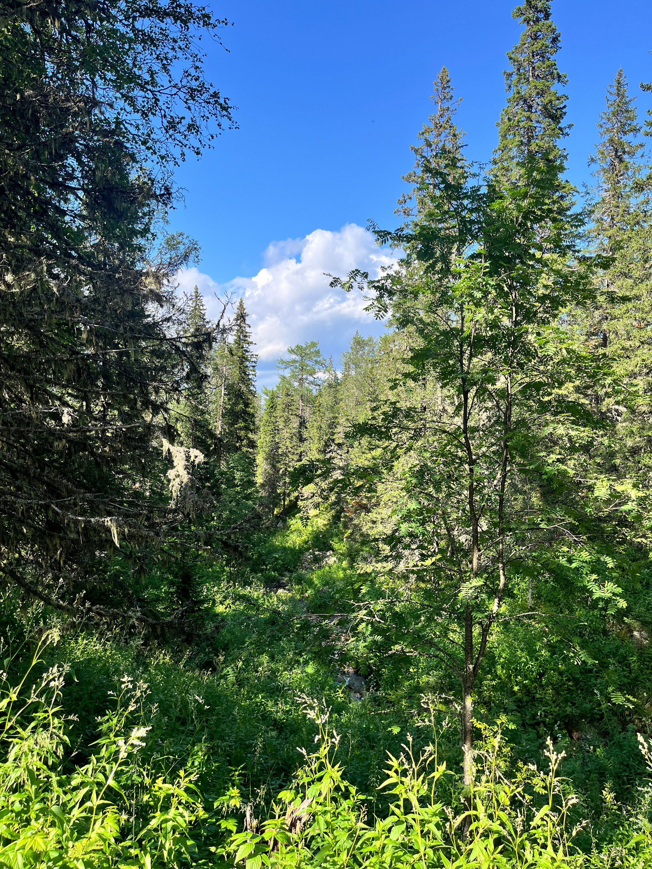 Тур на Иремель из Уфы — Время Приключений