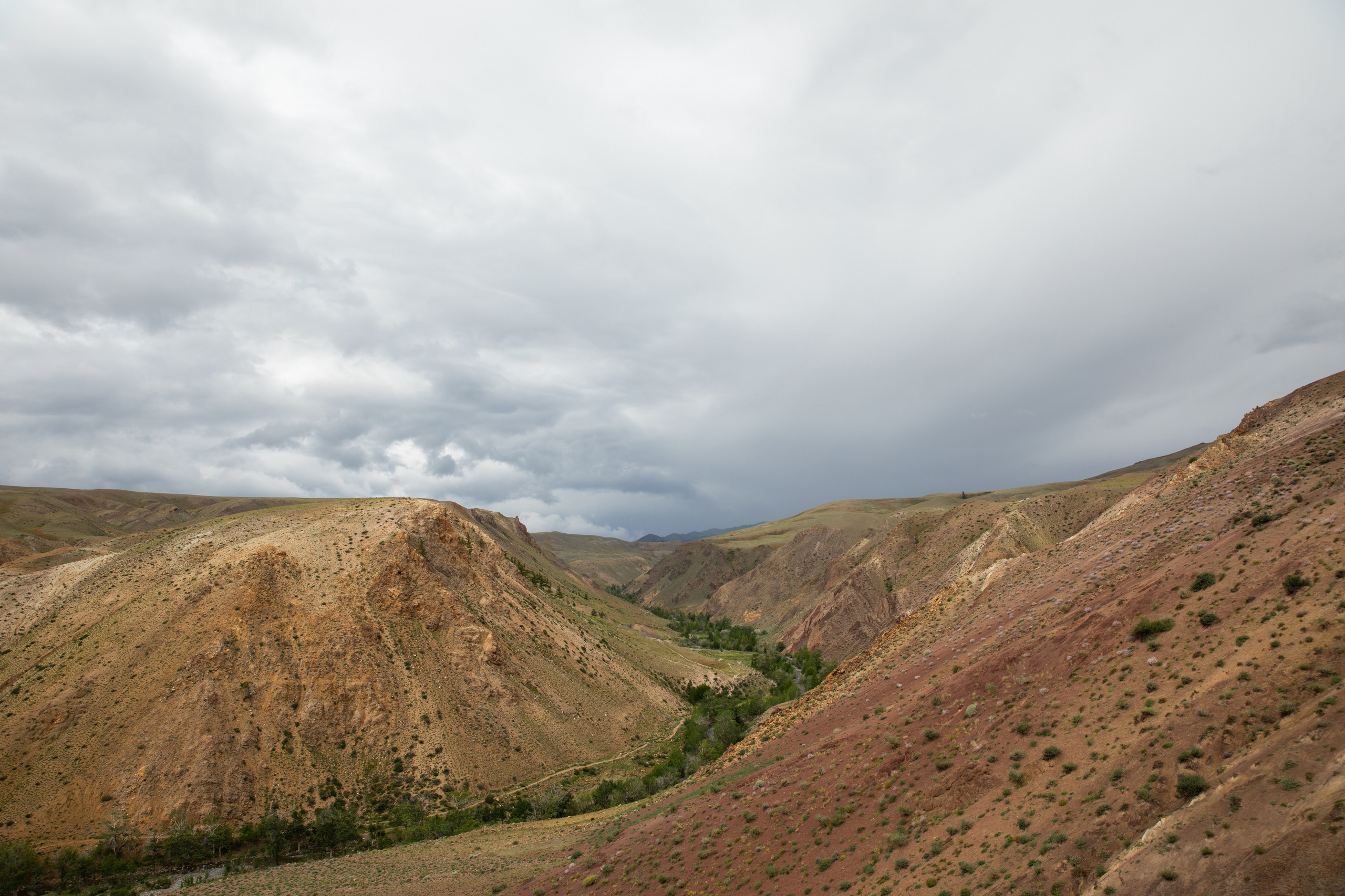 Altai. Yulia Tsyganova
