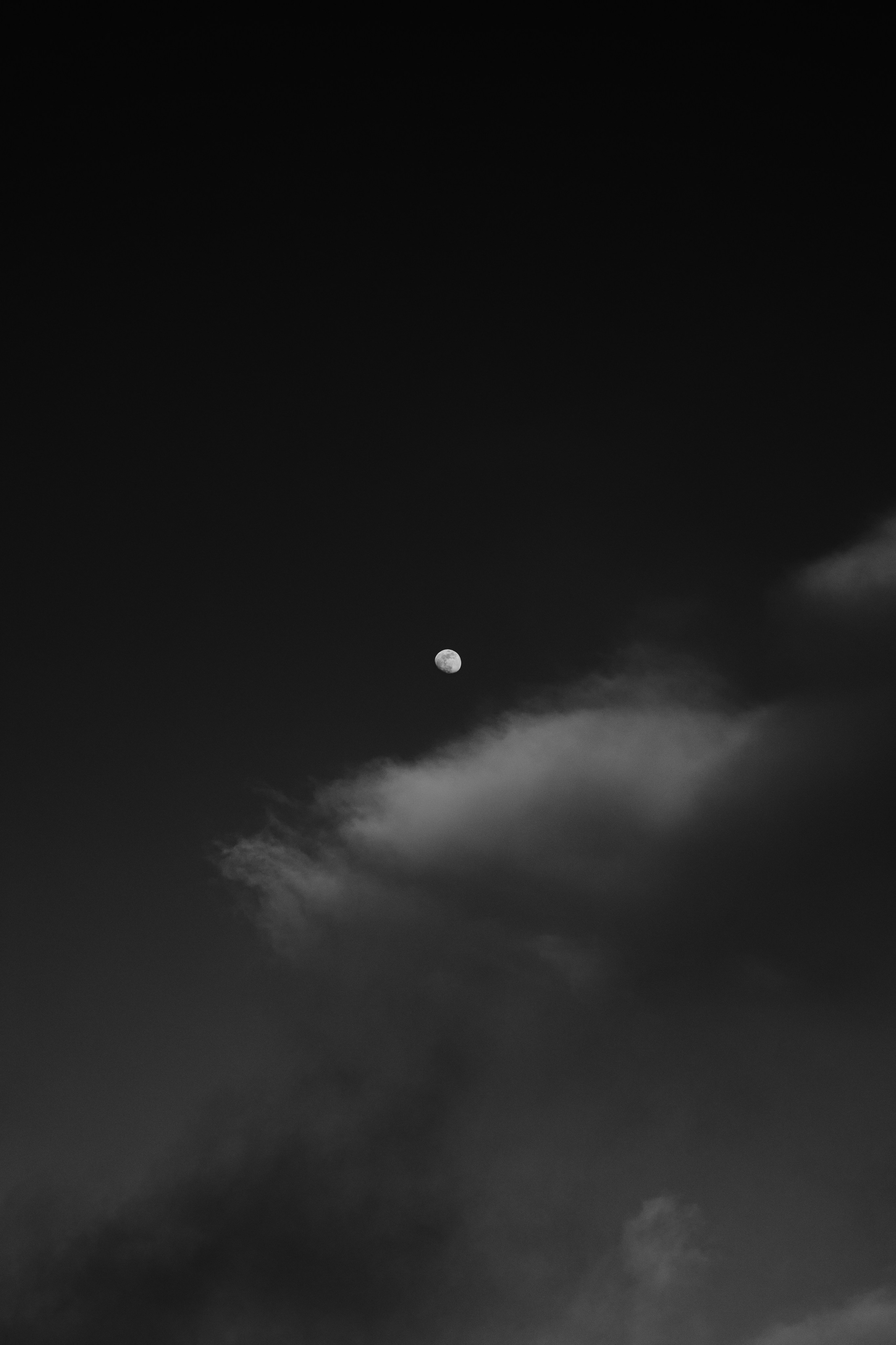 Portfolio. @beingabird.photography