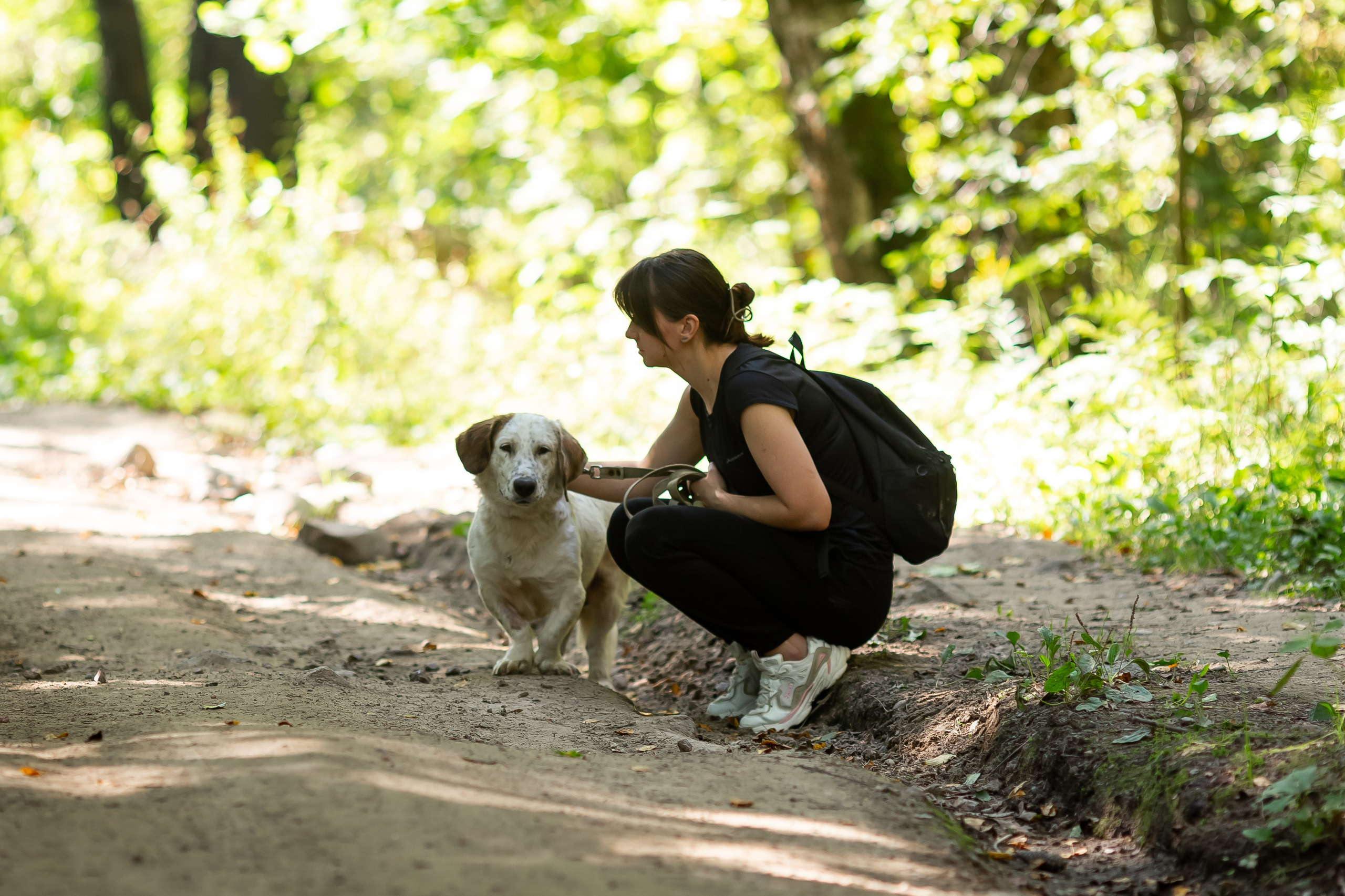 Petshop Забота. Фотограф в Санкт-Петербурге Чумаков Семен