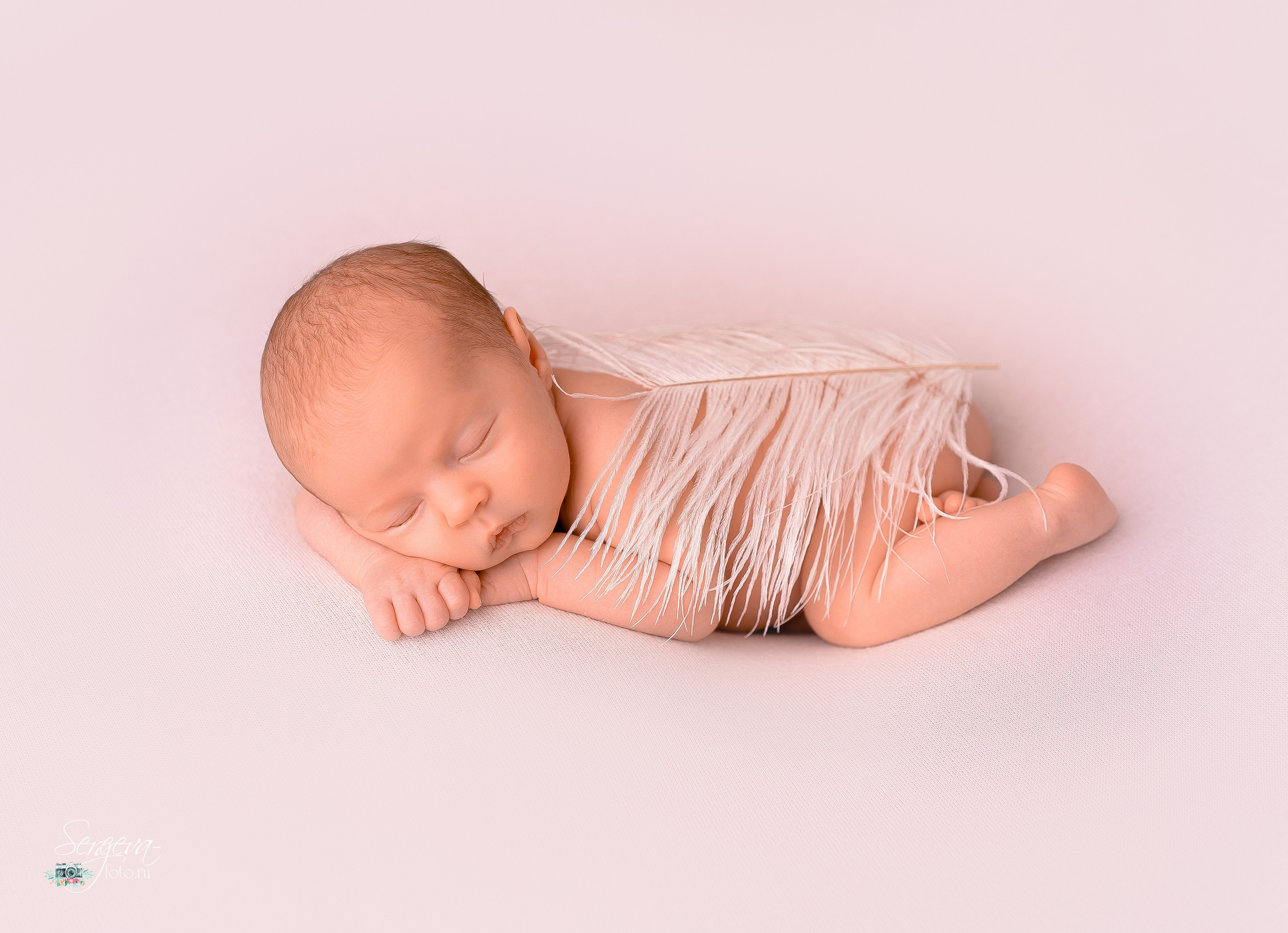 Тимур 25 дней. Фотограф новорожденных в Нижнем Новгороде Сергеева Оксана